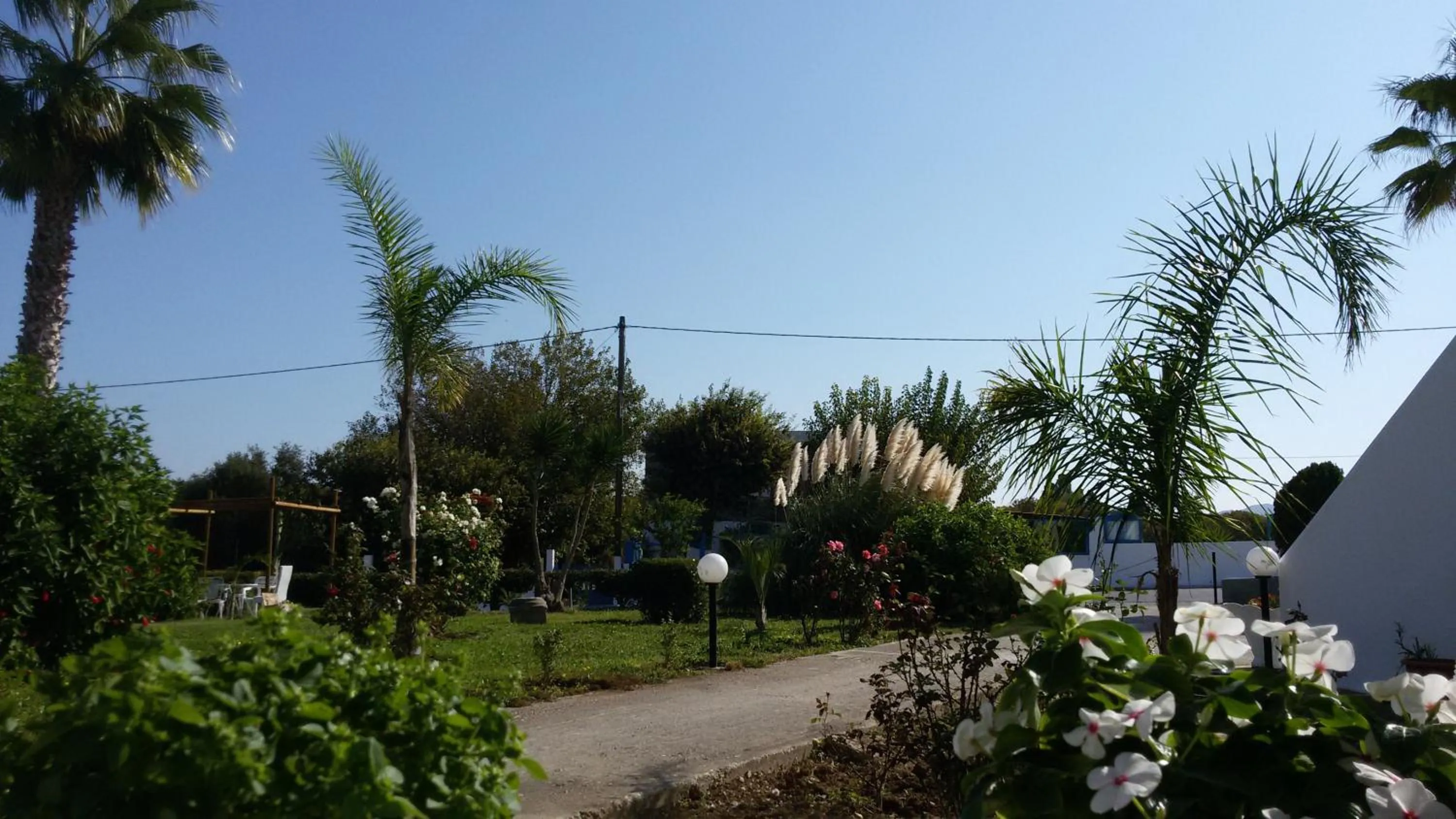 Garden in Eftihia Apartments