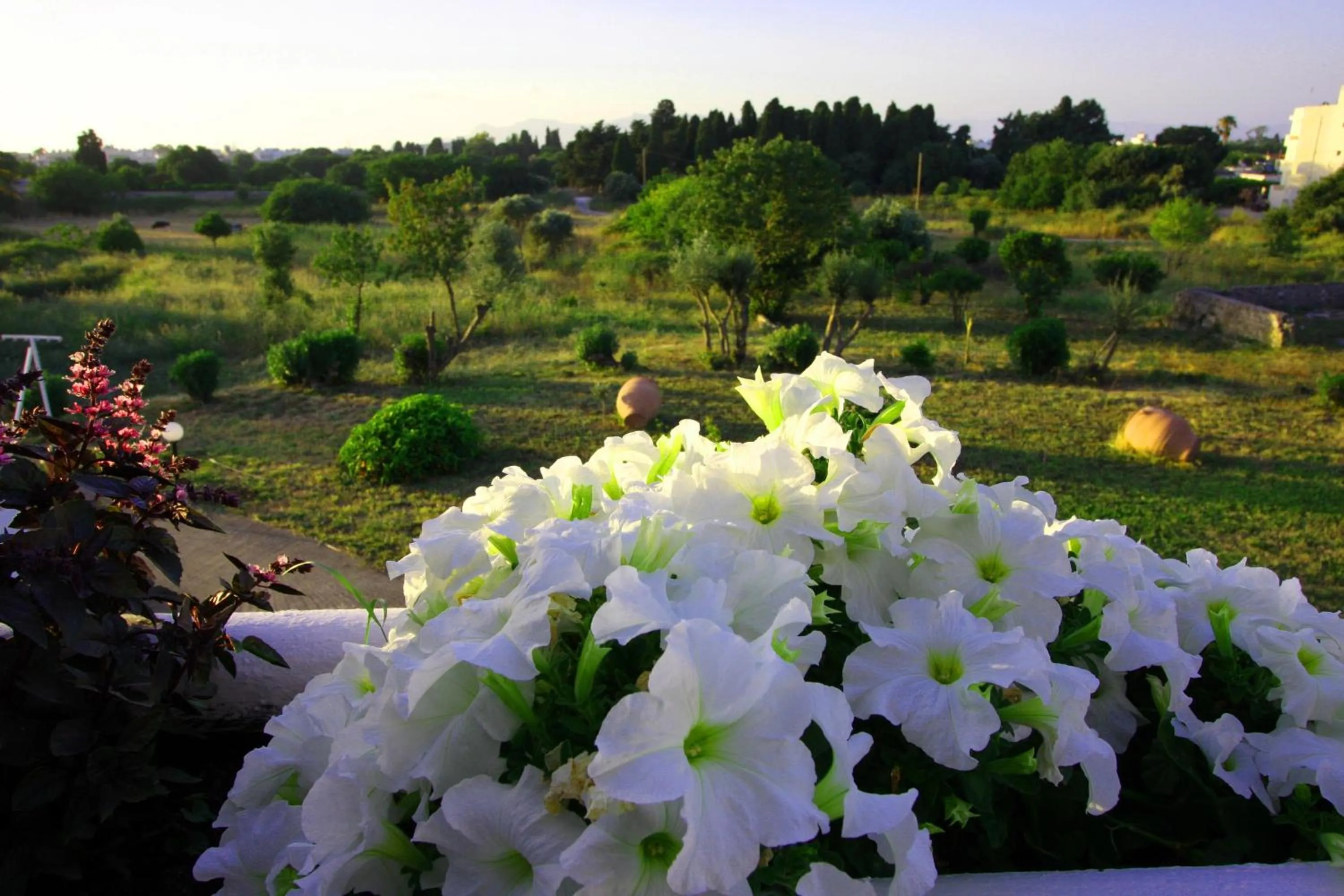 Decorative detail in Eftihia Apartments