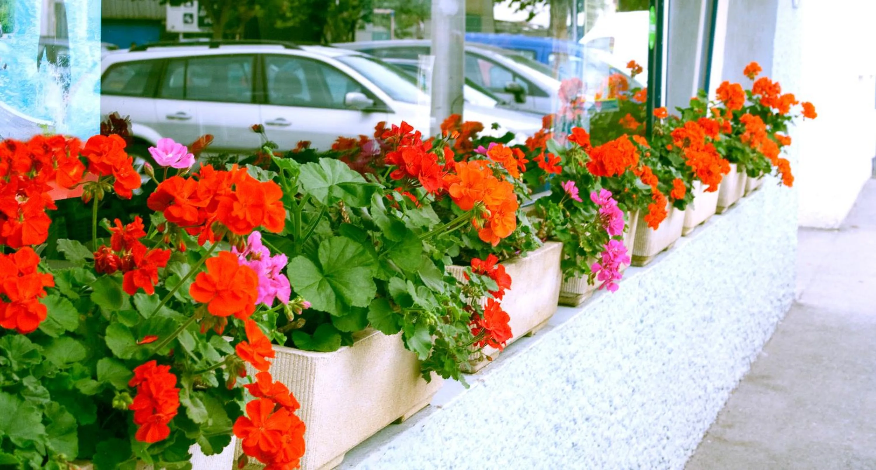 Decorative detail in Hotel les Pecheurs