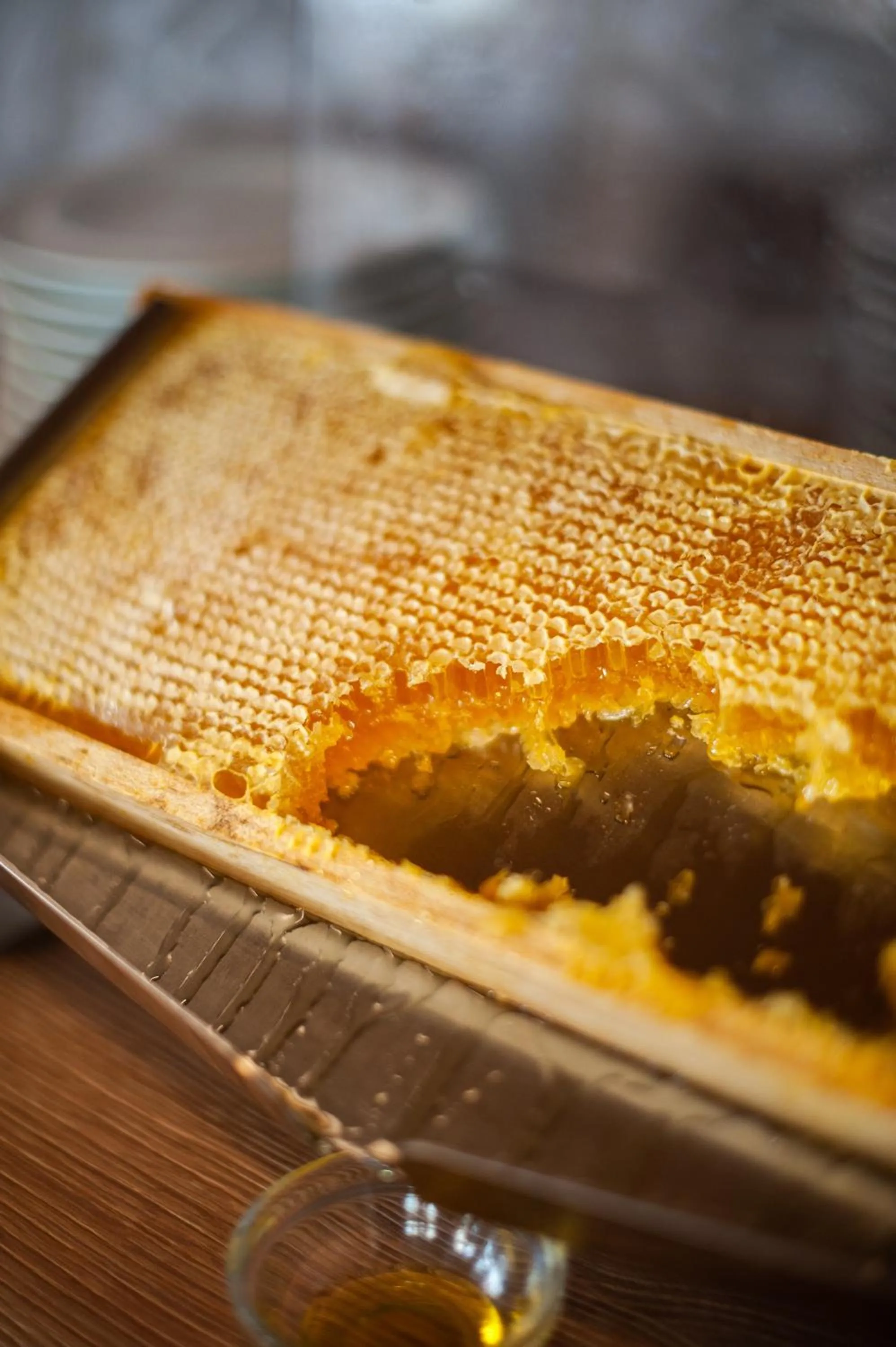 Food in Hotel Flamingo