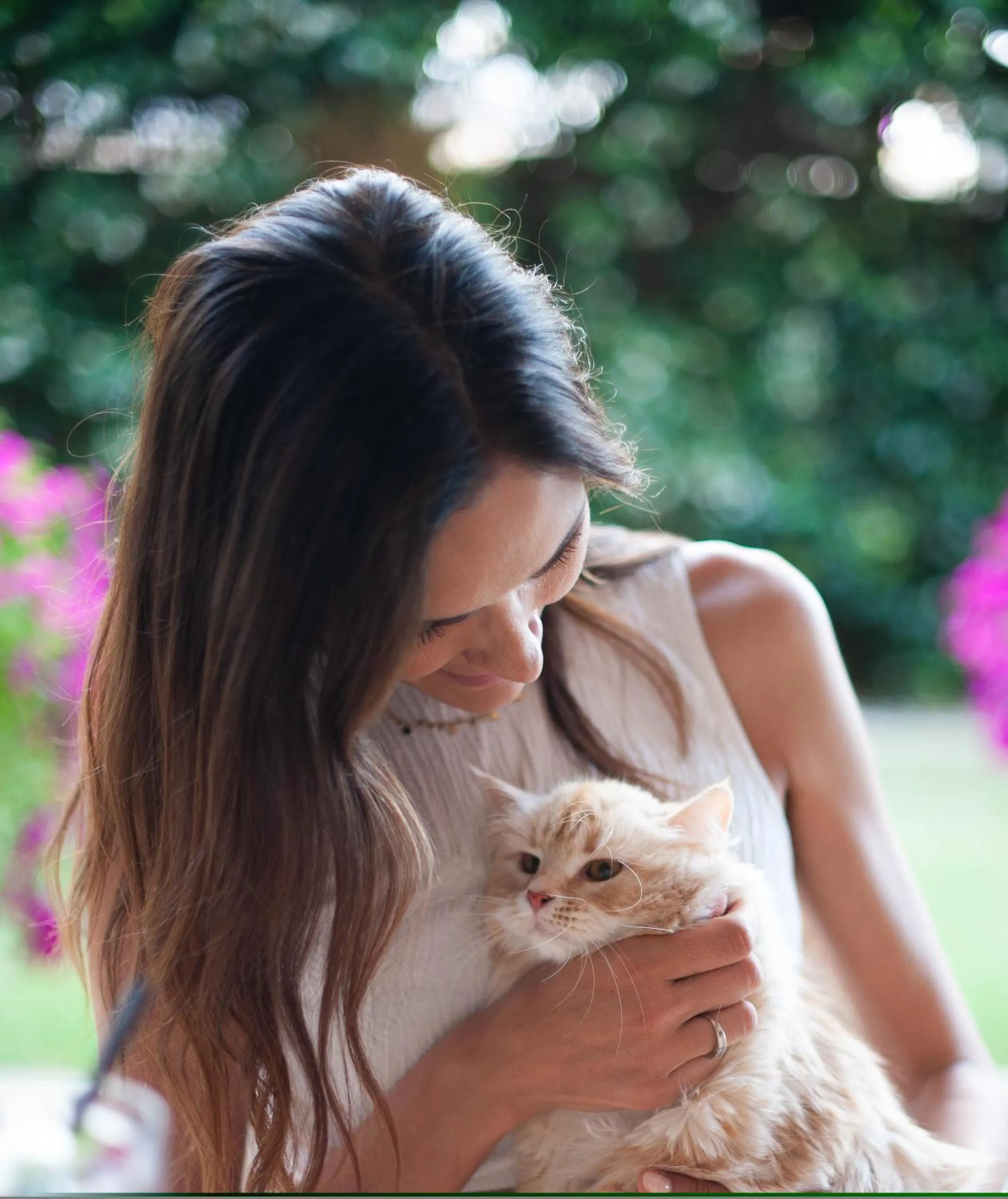 Pets in Hotel Flamingo