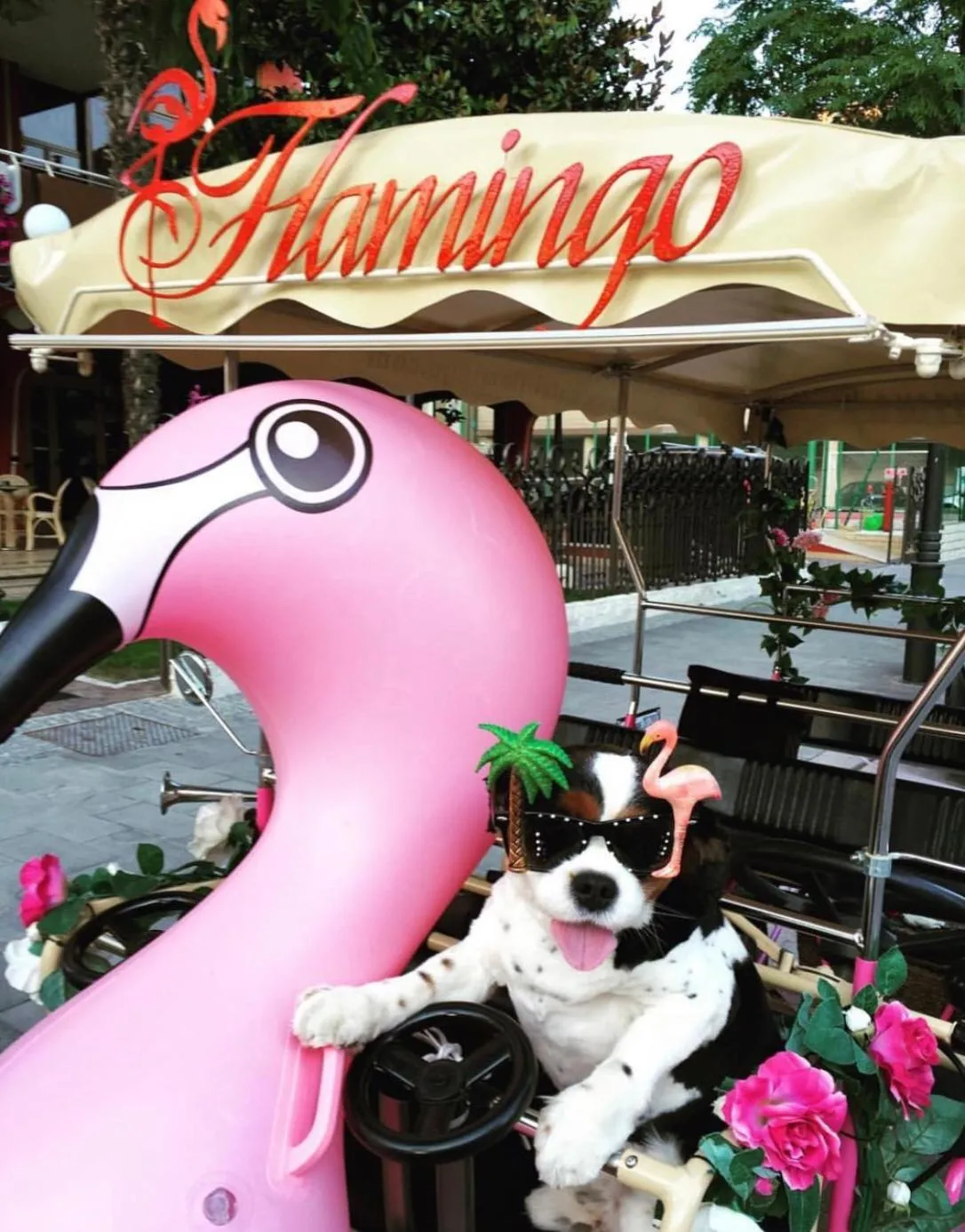 Day in Hotel Flamingo
