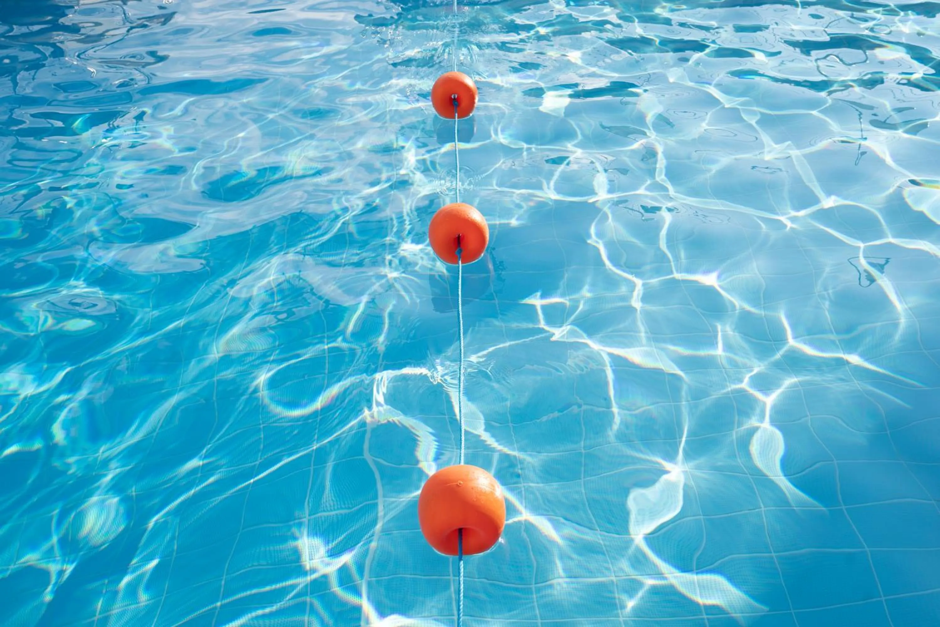Pool view in Hotel Flamingo