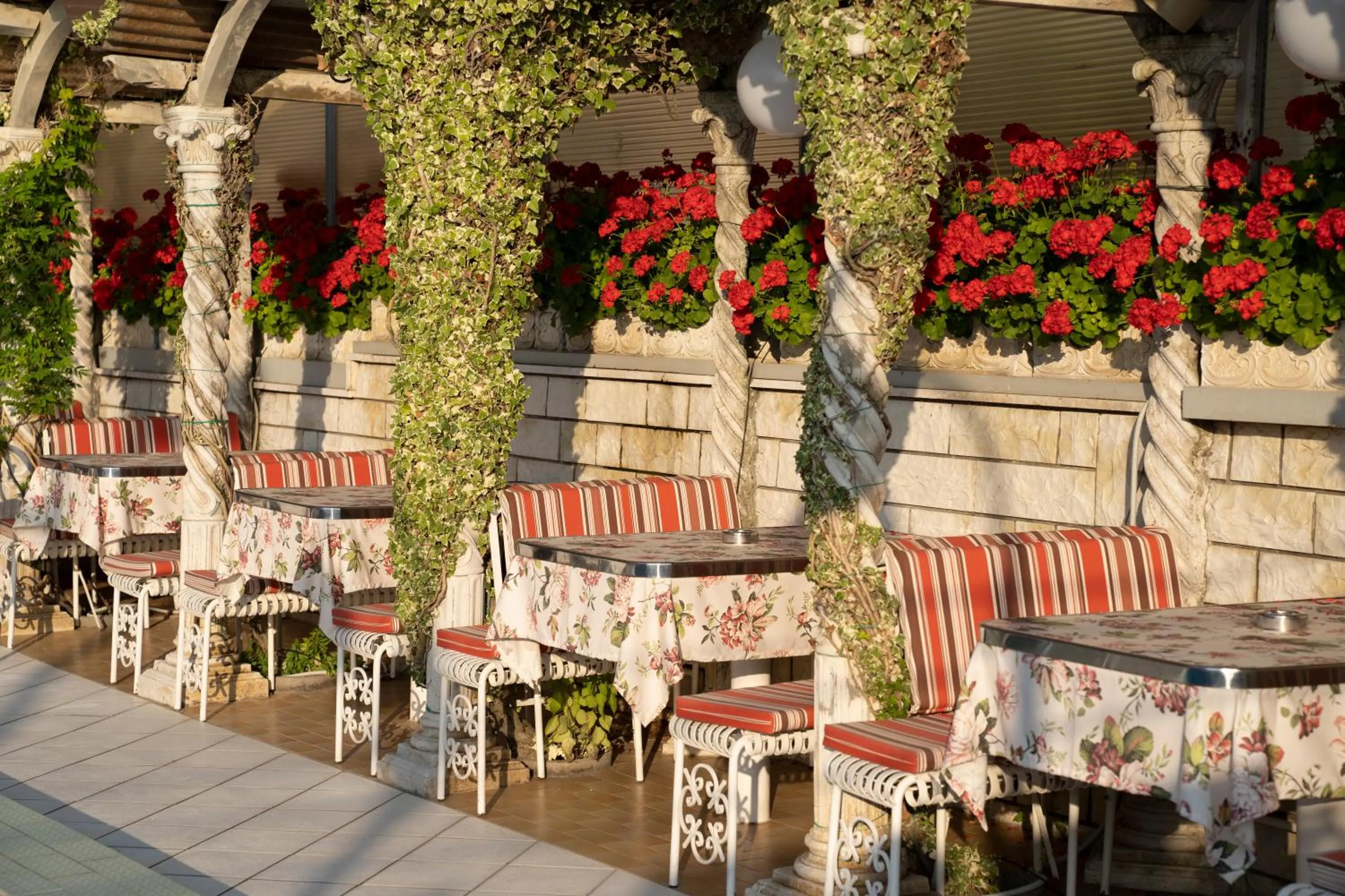 Garden in Hotel Flamingo