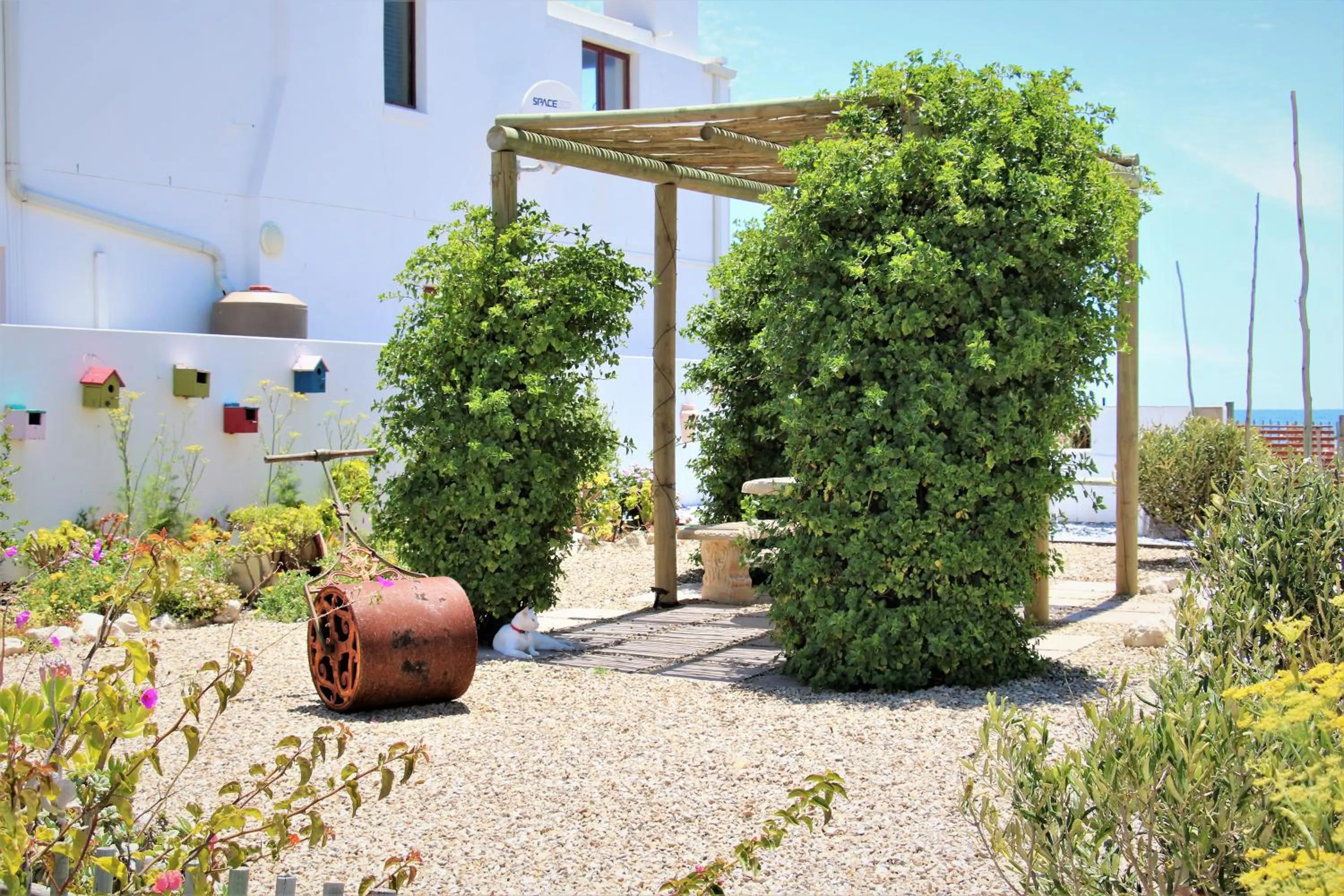 Garden in Baywatch Guest House