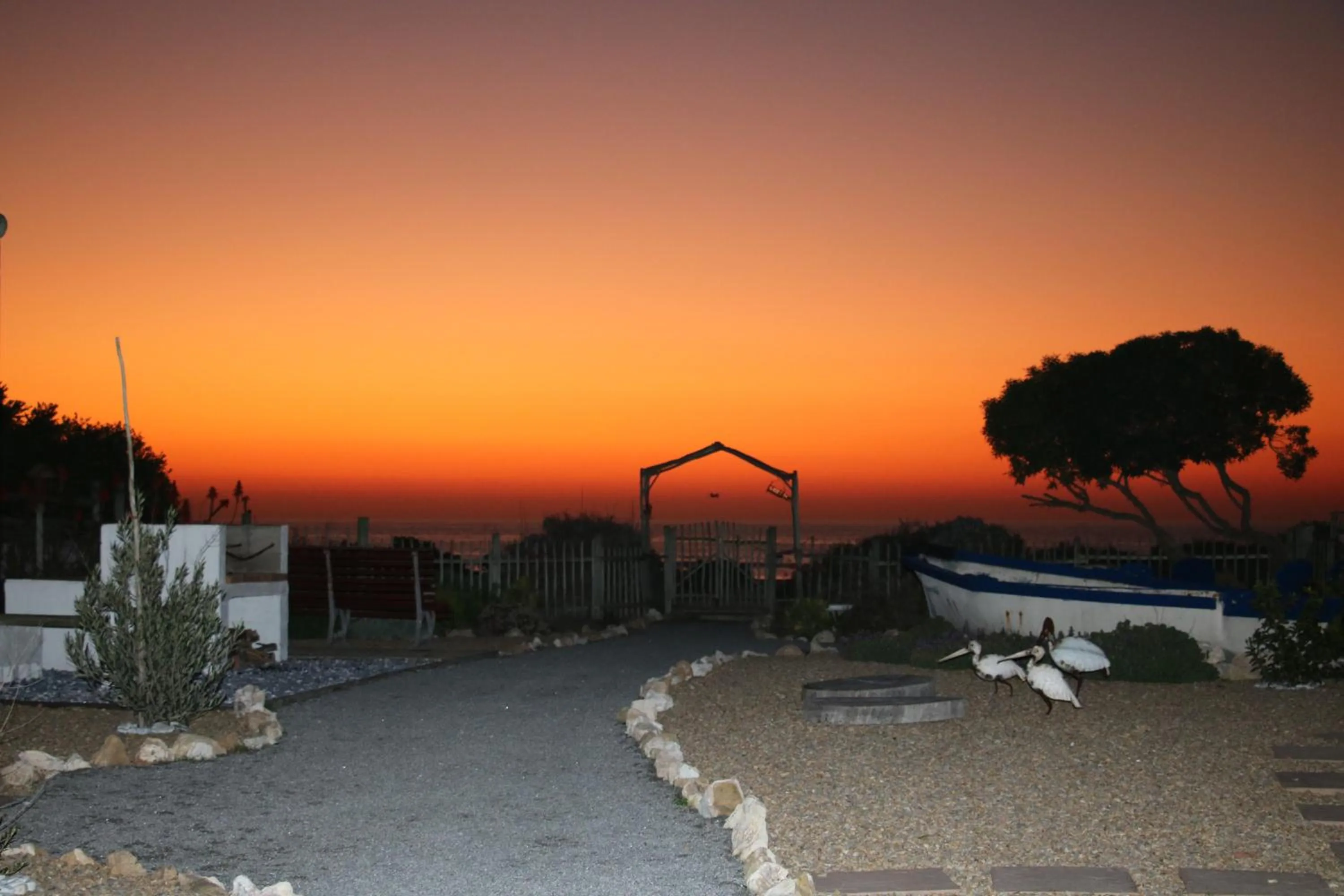 Garden in Baywatch Guest House