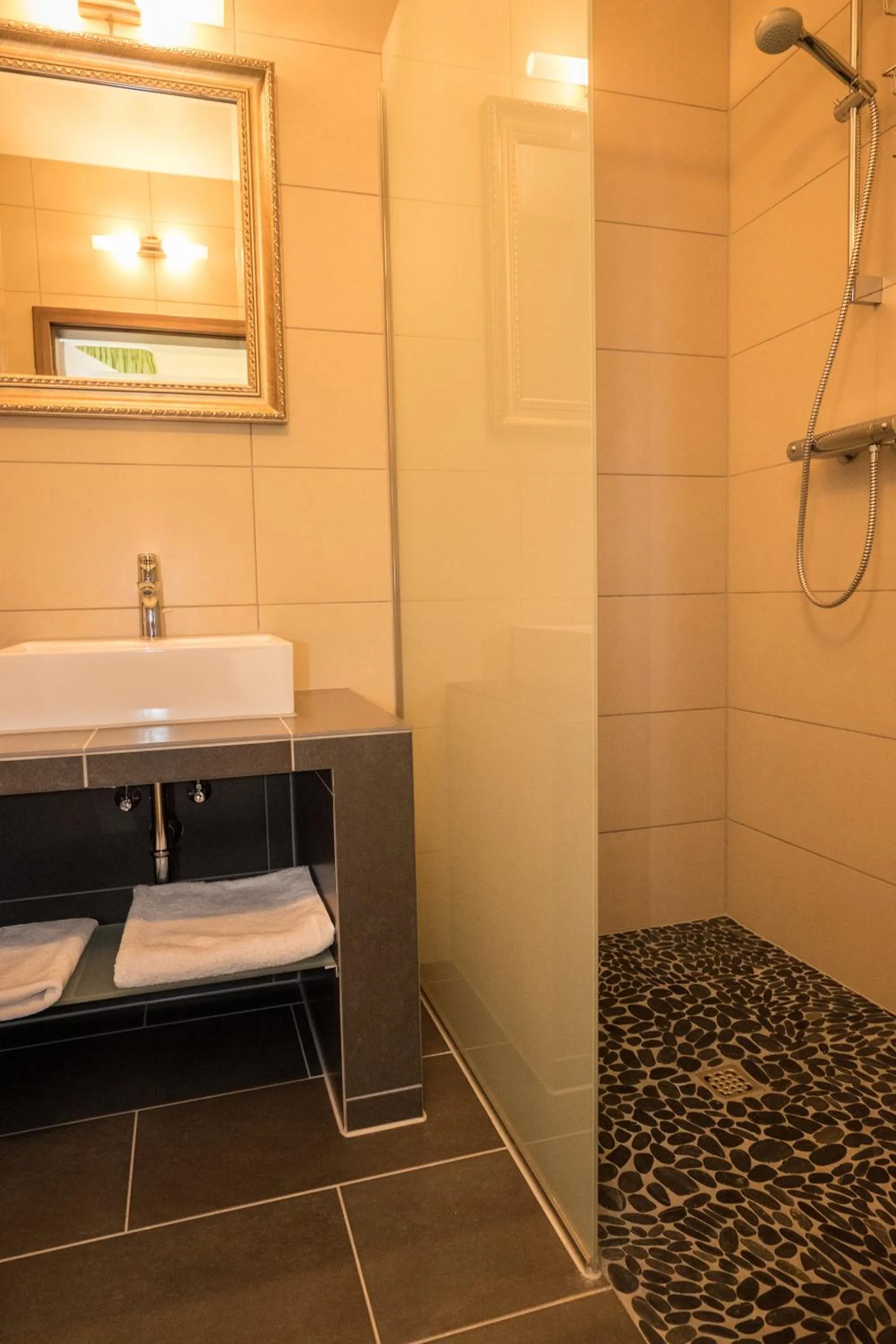 Shower in Hotel Viola