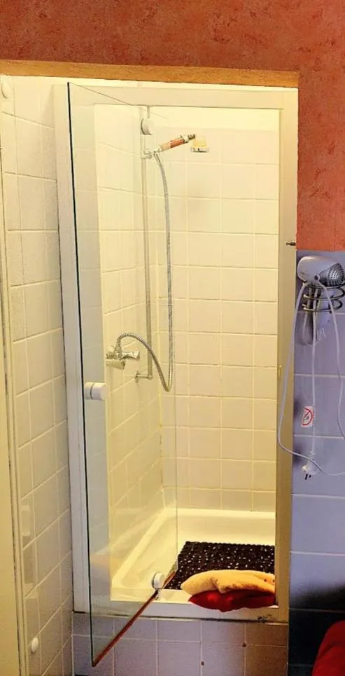Shower in Bio-Hotel Zum Forsthaus