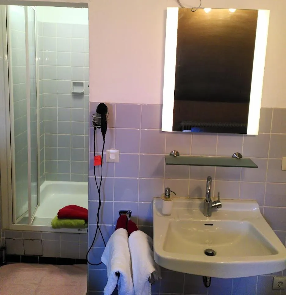 Shower in Bio-Hotel Zum Forsthaus