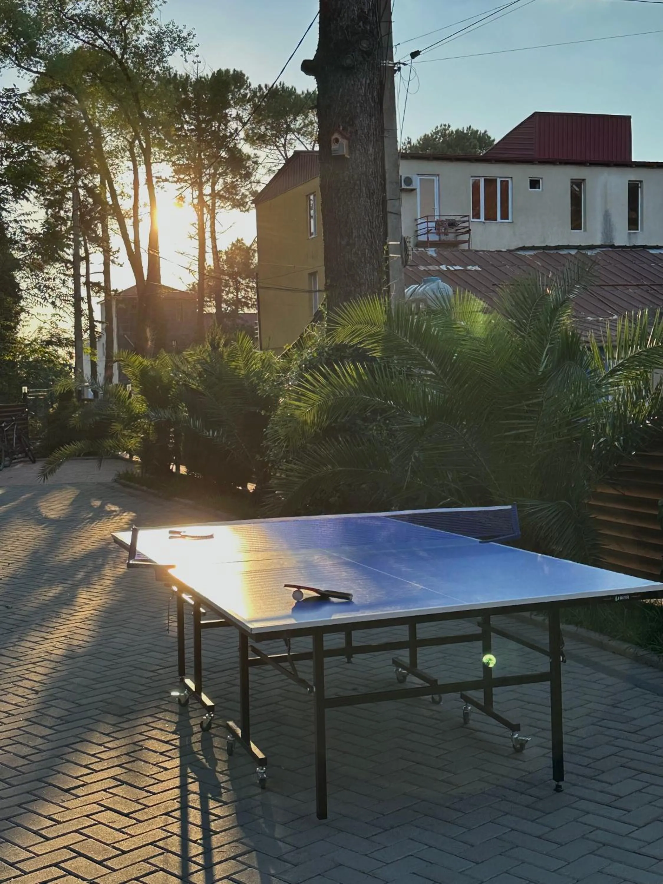 Table tennis in Ritsa Resort