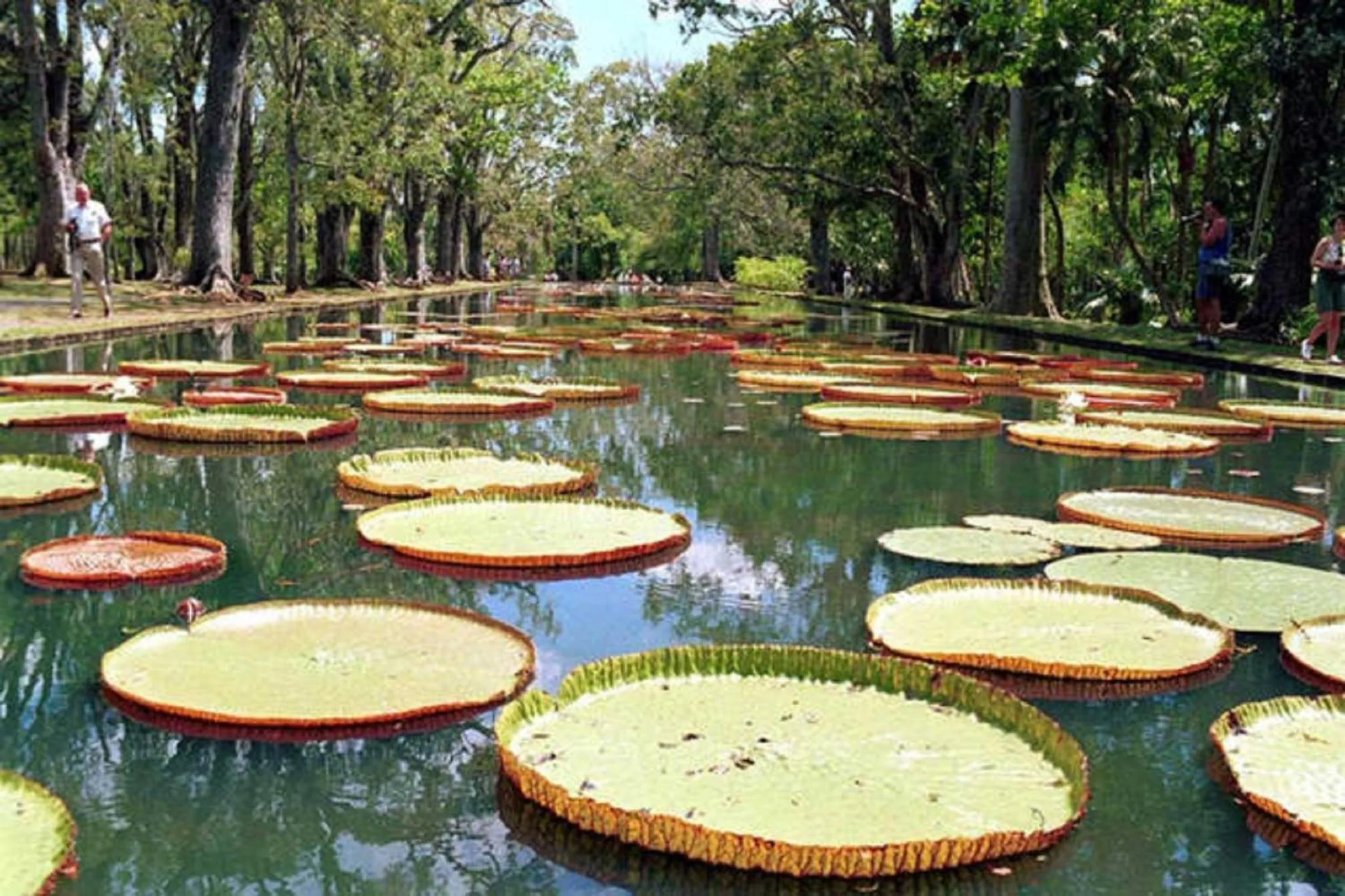 Nearby landmark in Trou Aux Biches Self Catering Apartment