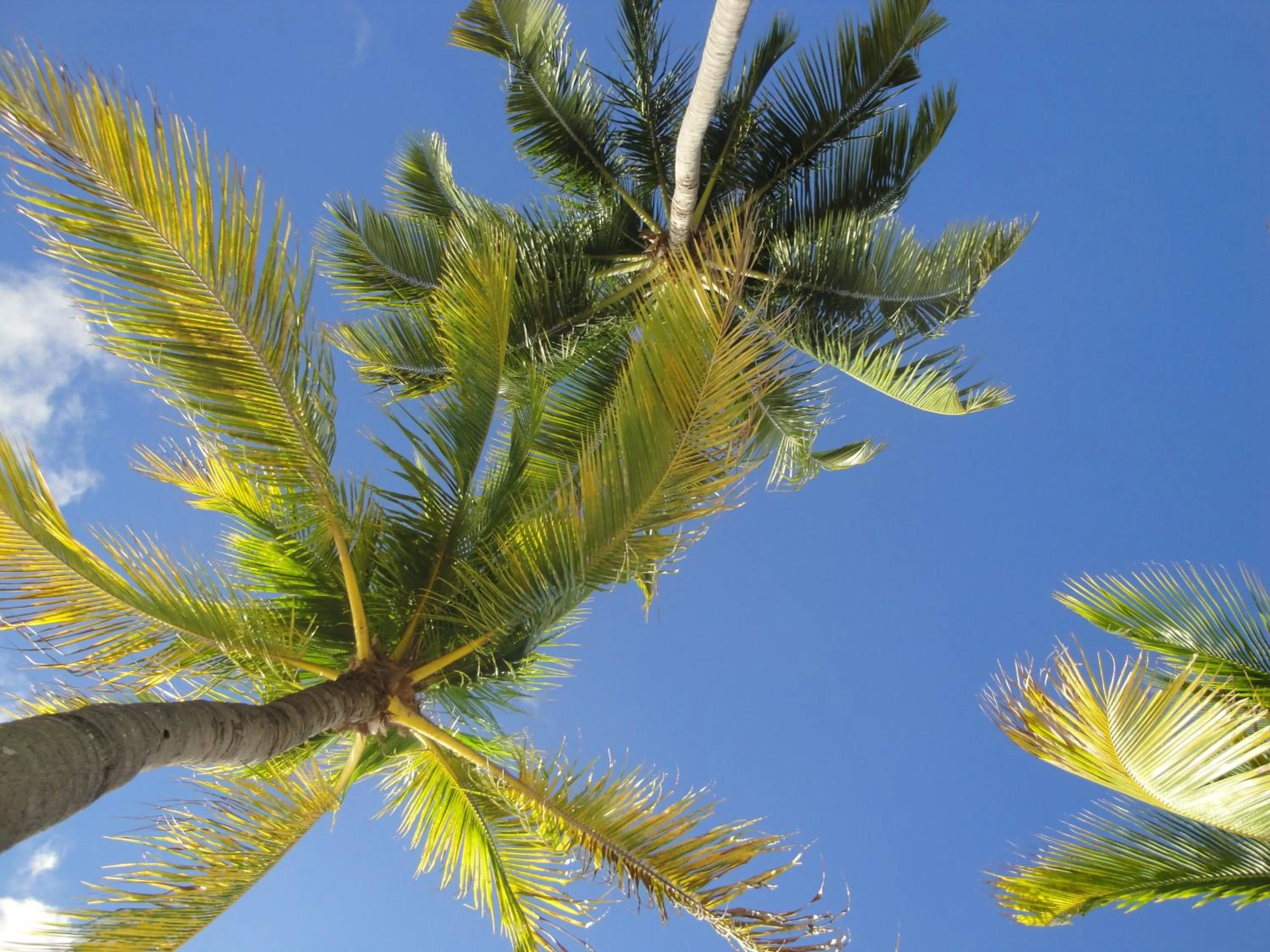 Neighbourhood in Trou Aux Biches Self Catering Apartment