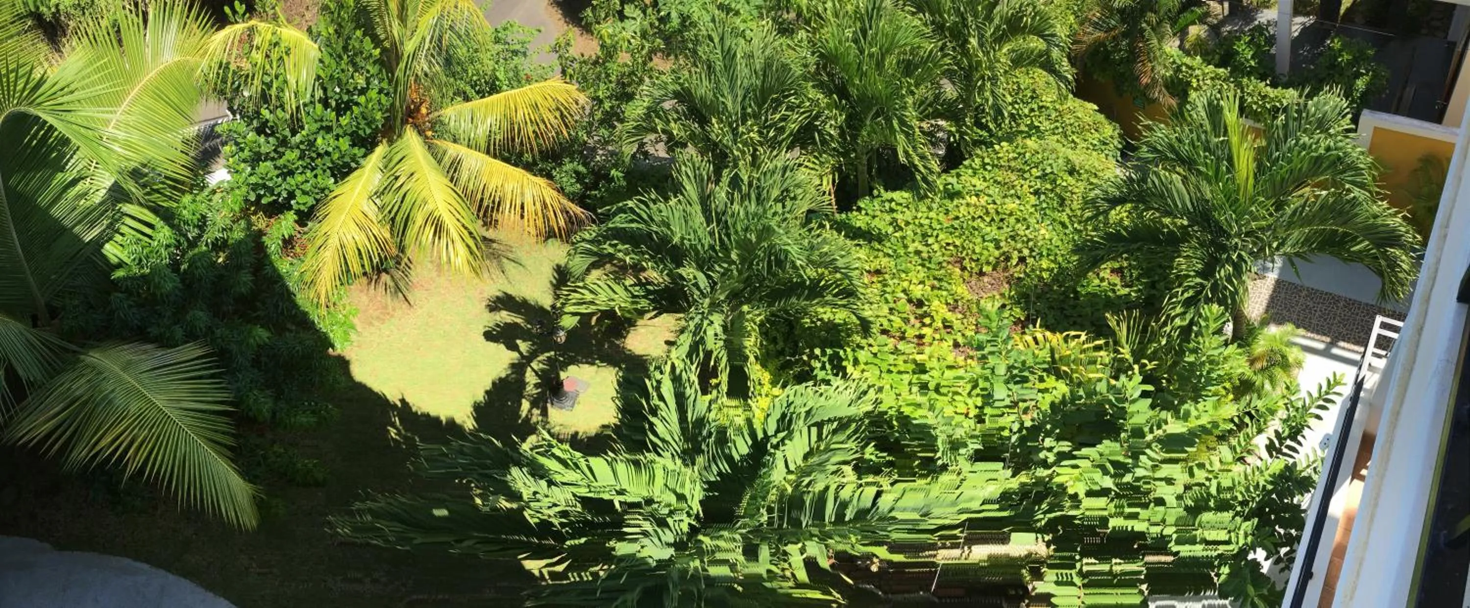 Garden view in Trou Aux Biches Self Catering Apartment