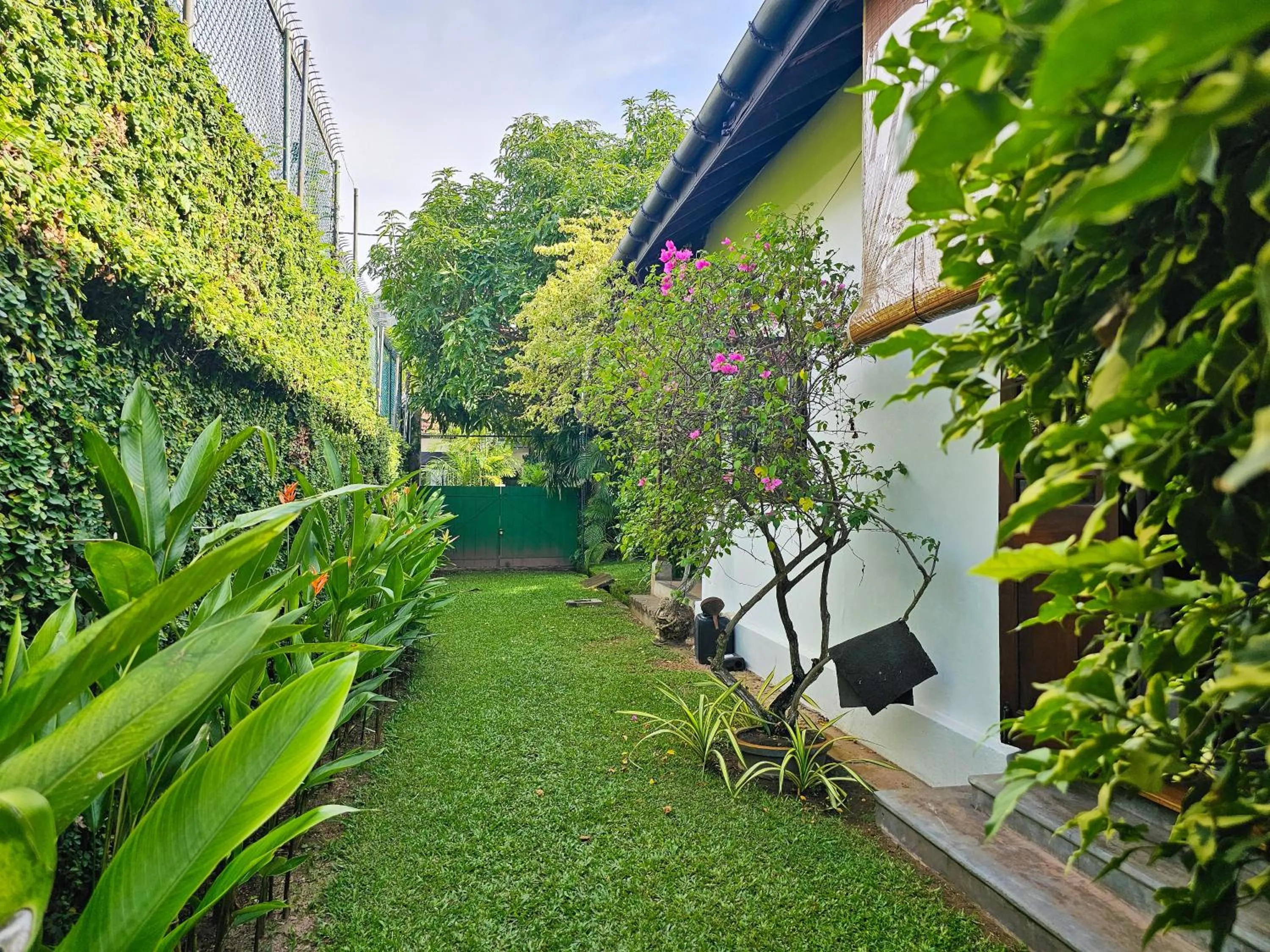 Garden view in Havelock Bungalow - Live Fire Cooking - Enjoy 10 percent off at GINI Outdoor Kitchen