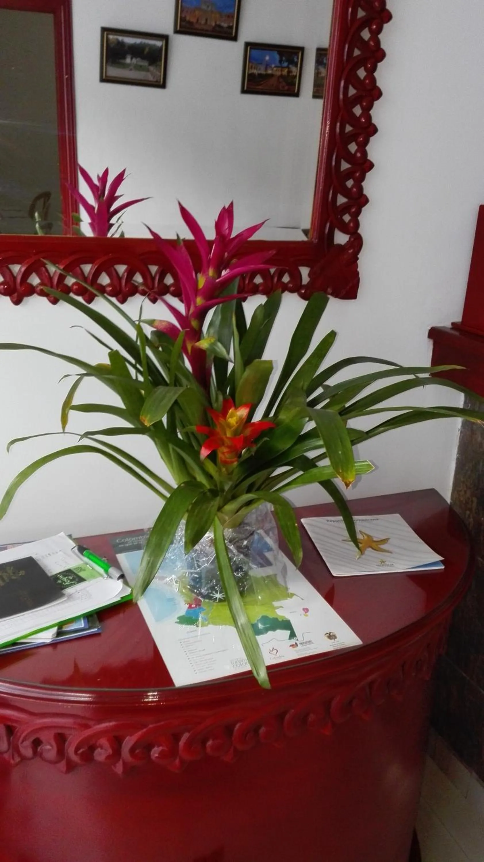 Spring in Hotel Popayan Plaza