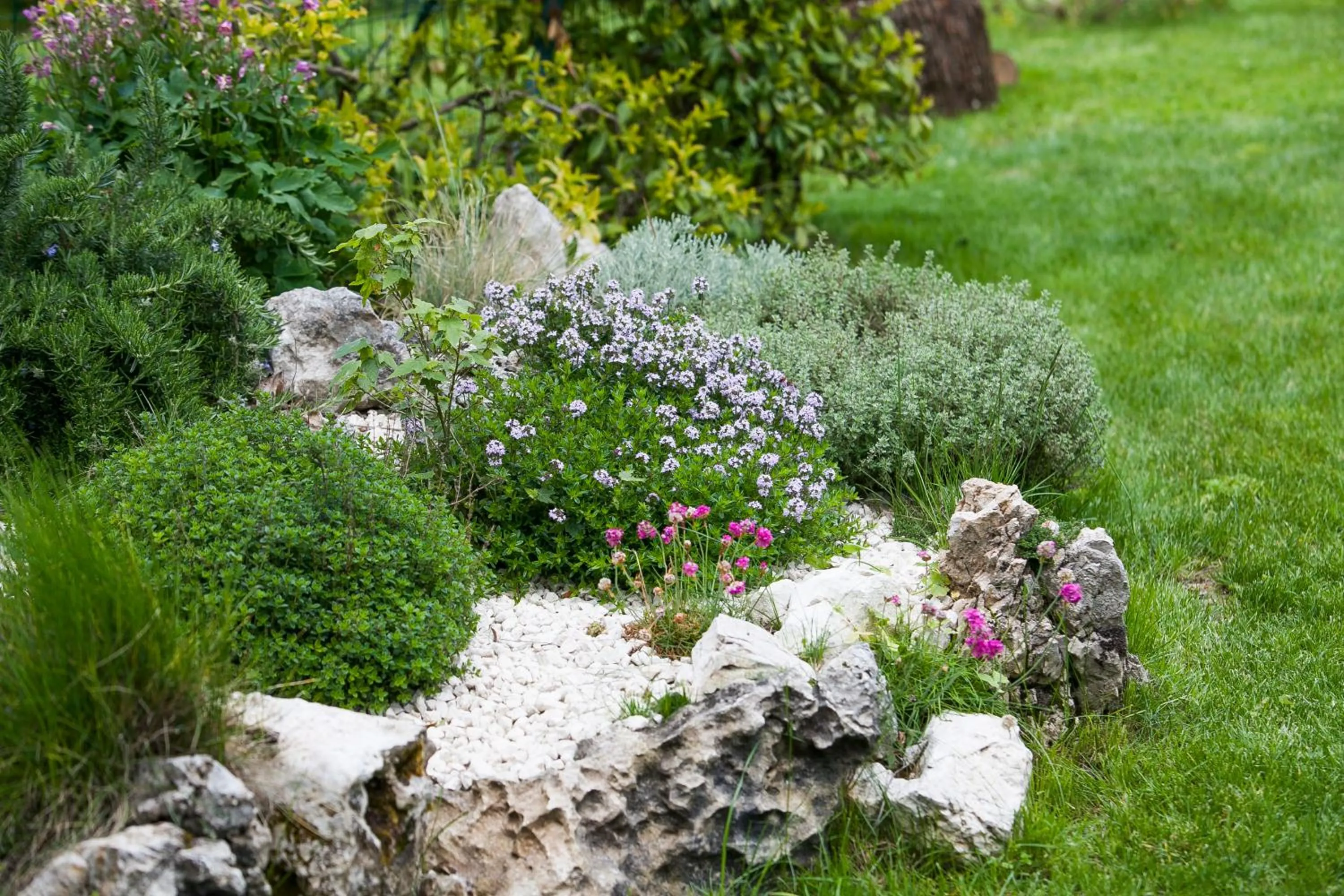 Garden in B&B Al Colle