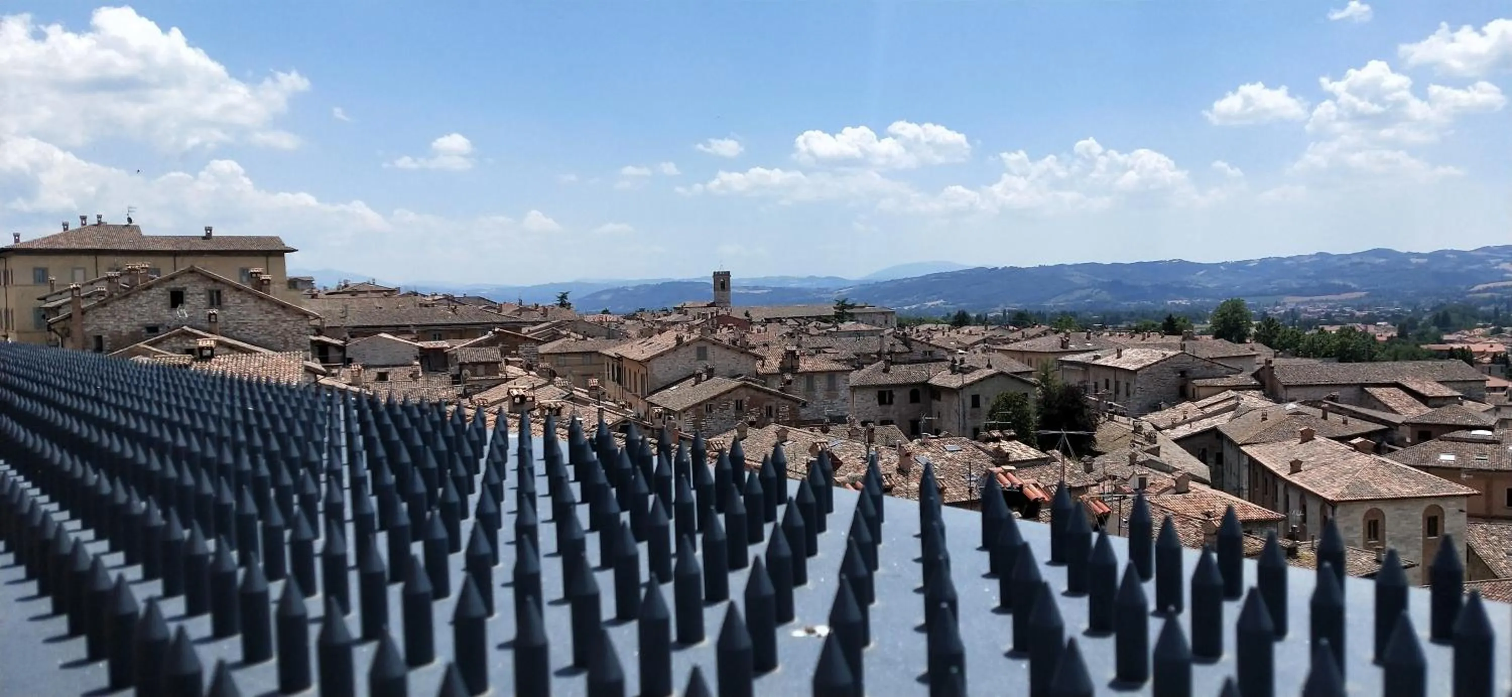 Other in Tenuta Borgo San Michele