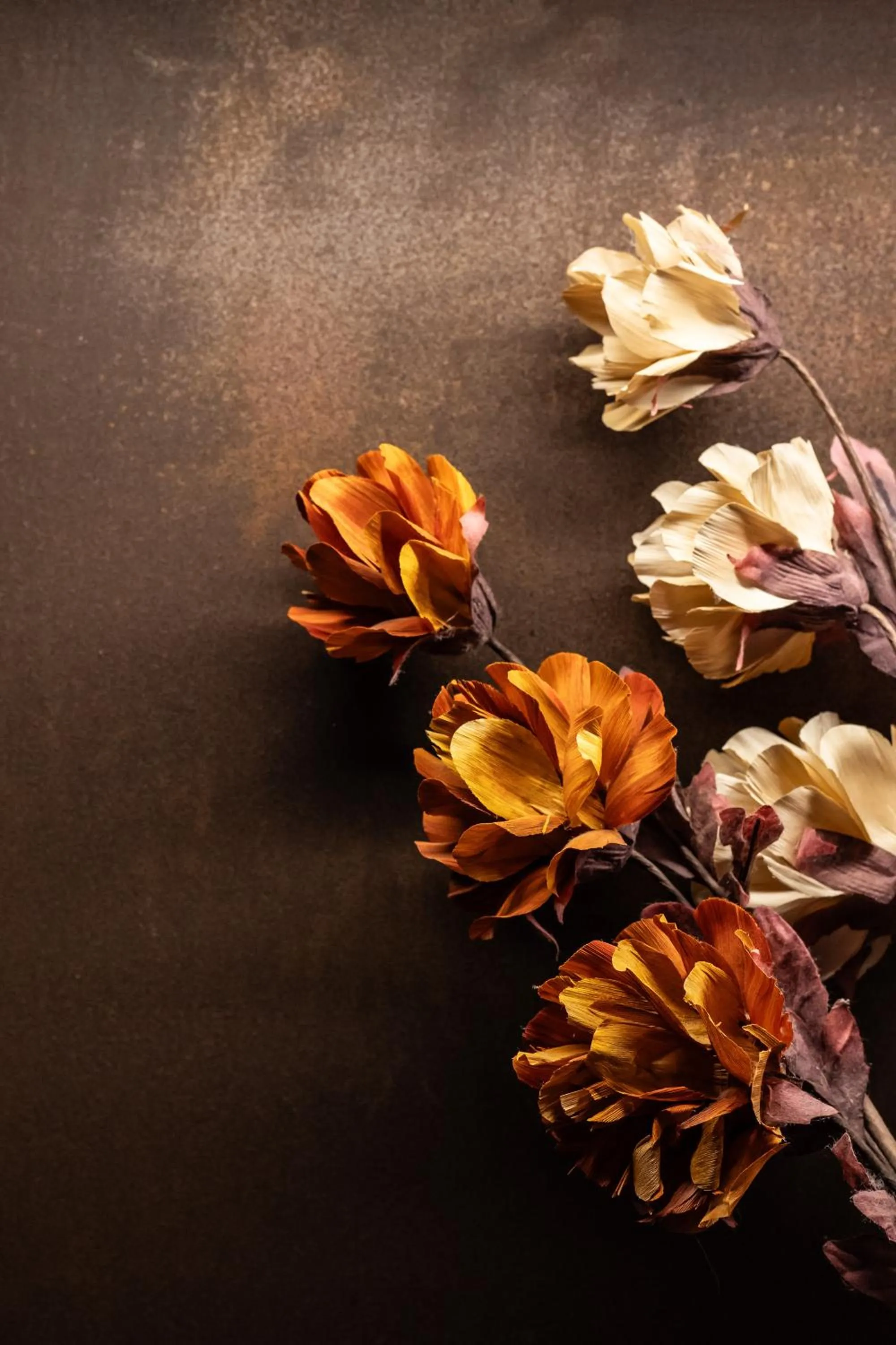 Tenuta Borgo San Michele