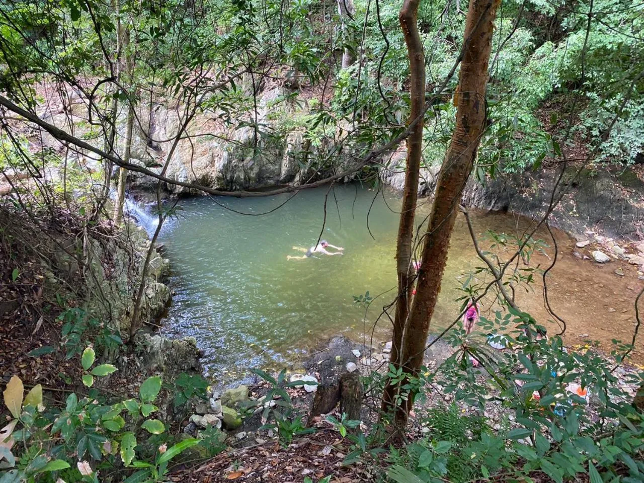 Swimming pool in La Jorará EcoHotel y Reserva Natural