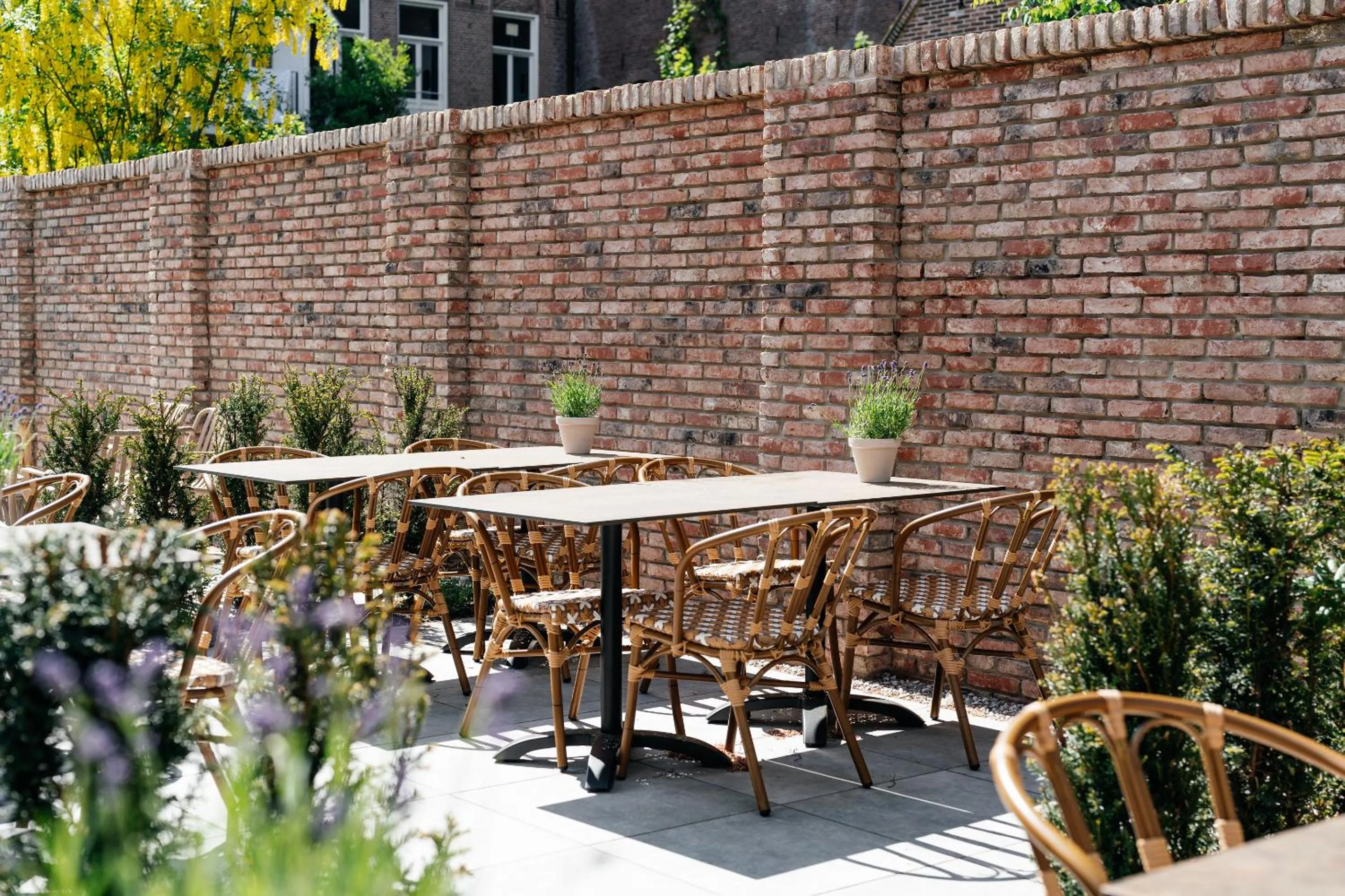 Garden in Boutique Hotel Malie House