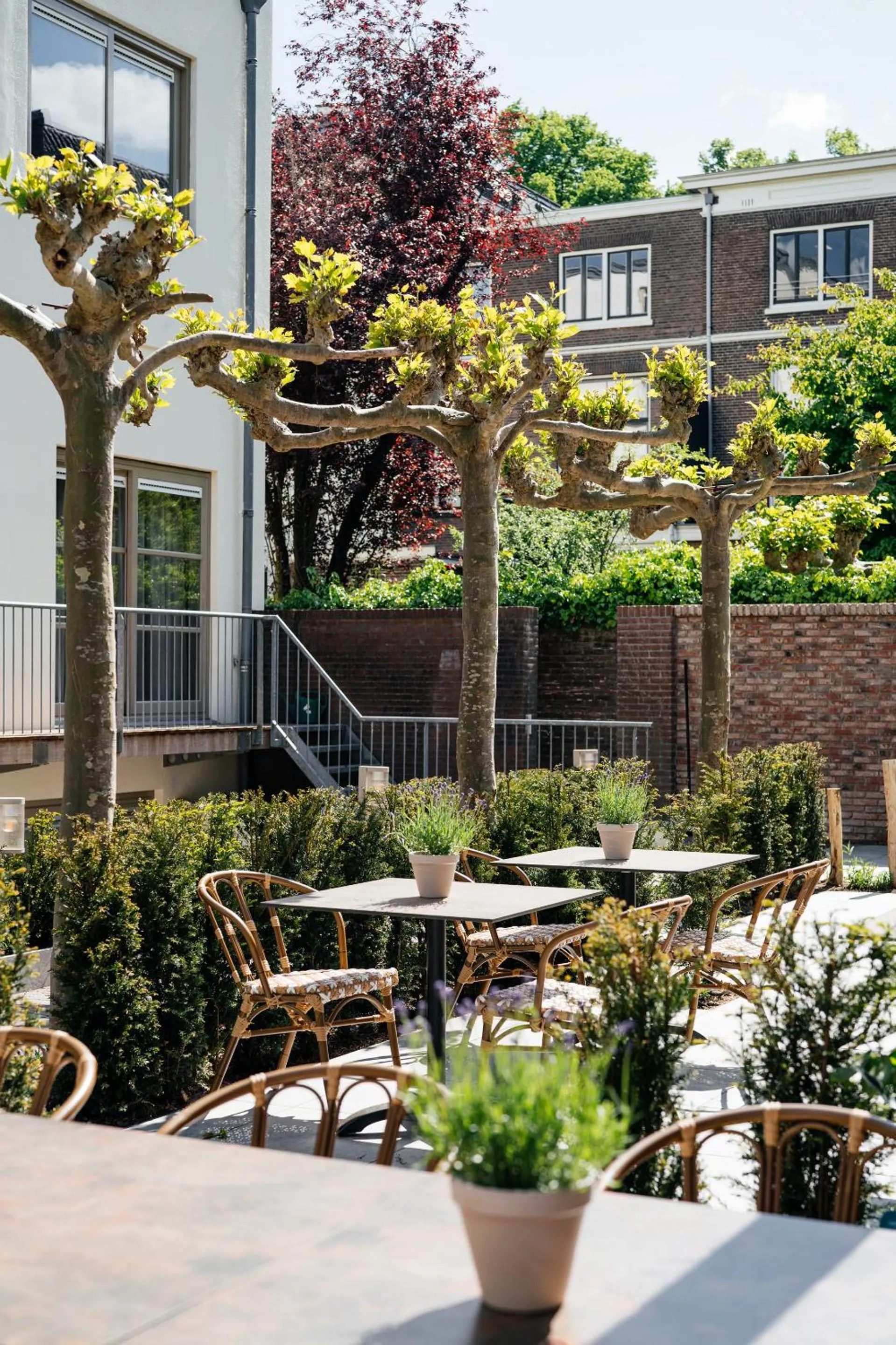 Garden in Boutique Hotel Malie House