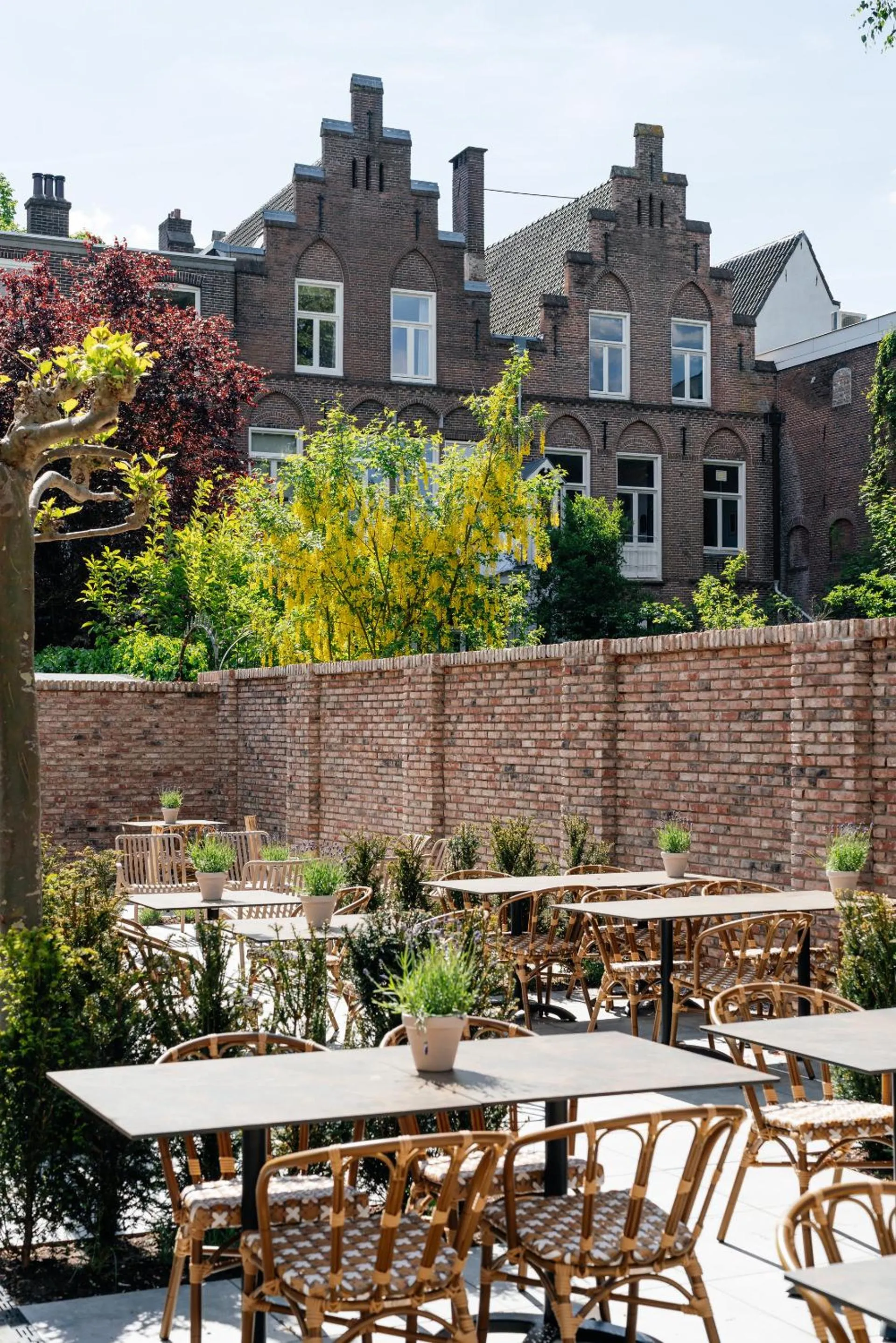 Garden in Boutique Hotel Malie House