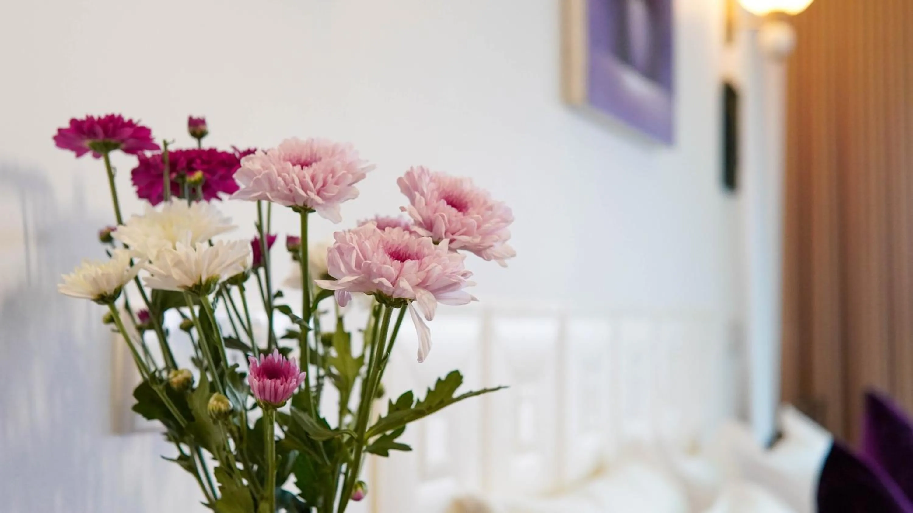 Property building, Bed in The Castle by Don Louis