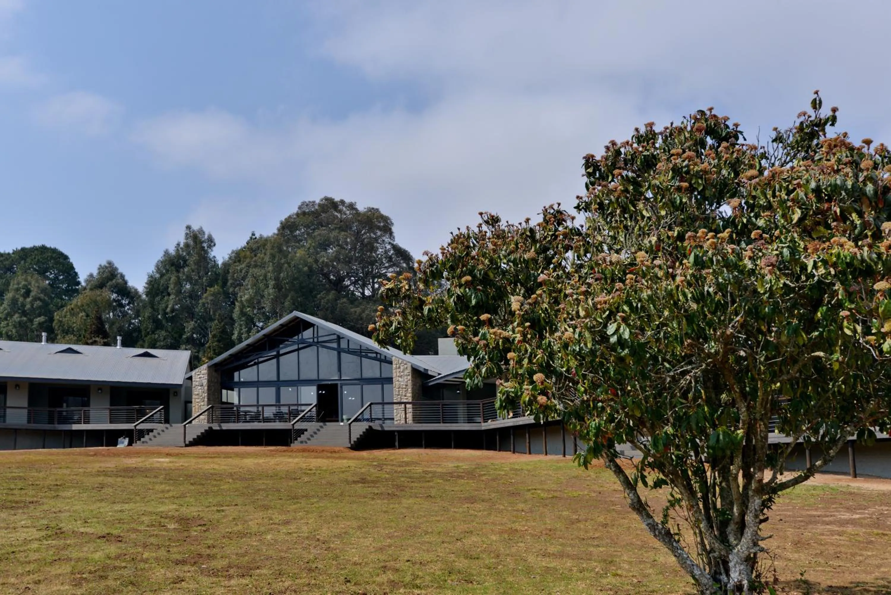 Property building in Dunkeld East