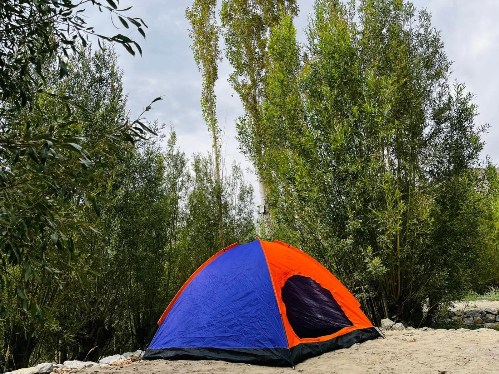 Thiksay Organic Resort and Retreat