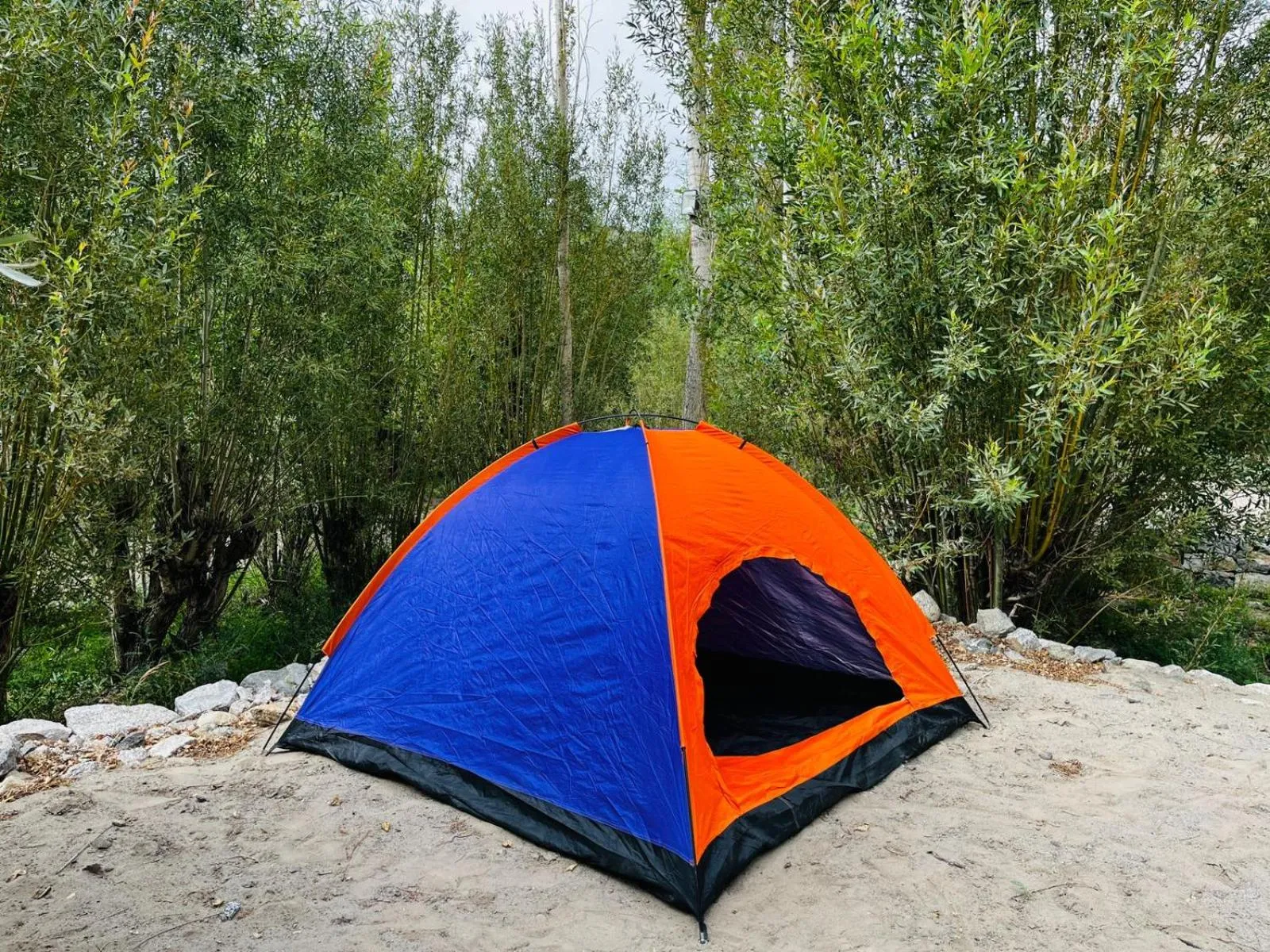 Thiksay Organic Resort and Retreat