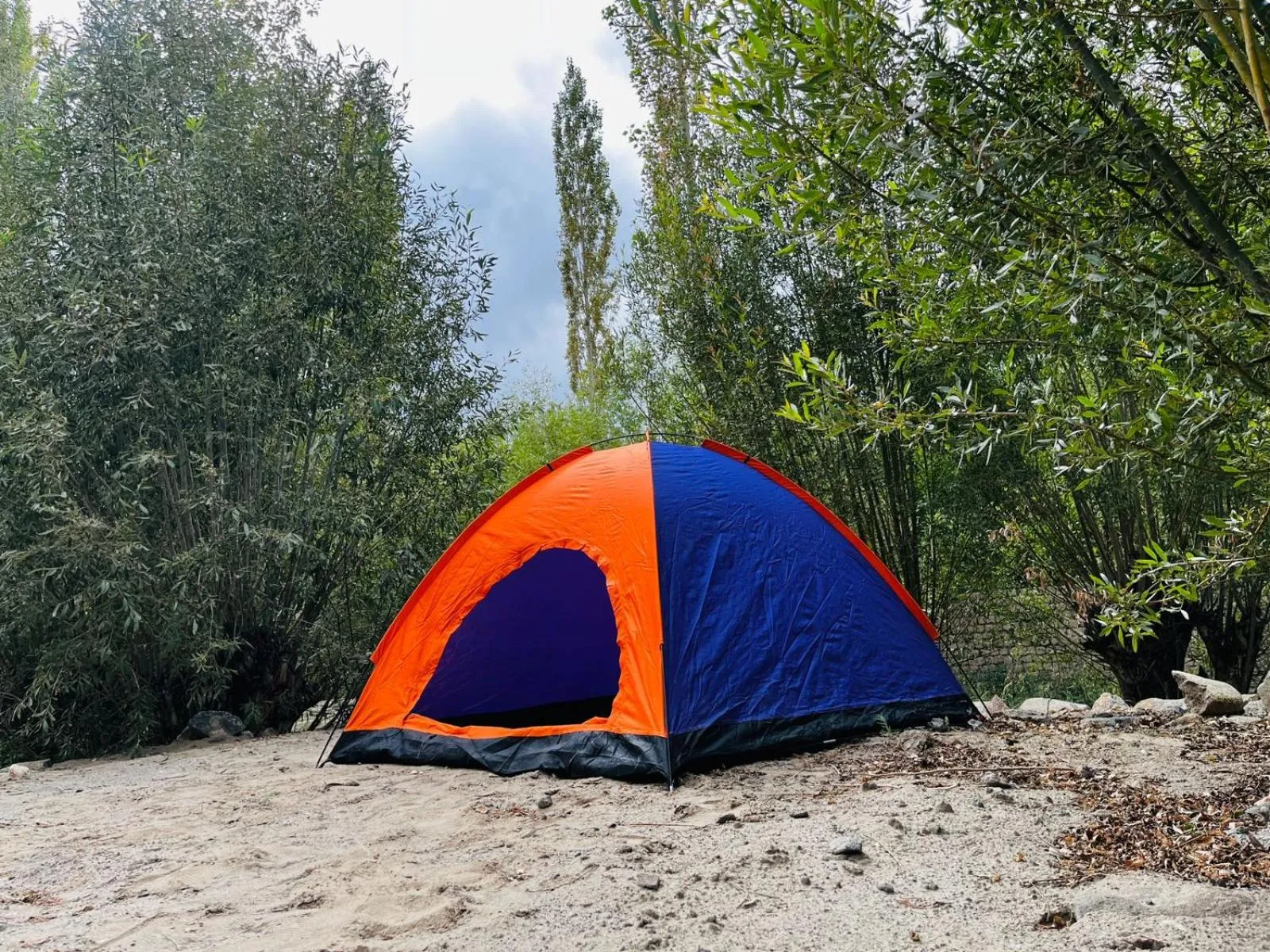 Thiksay Organic Resort and Retreat