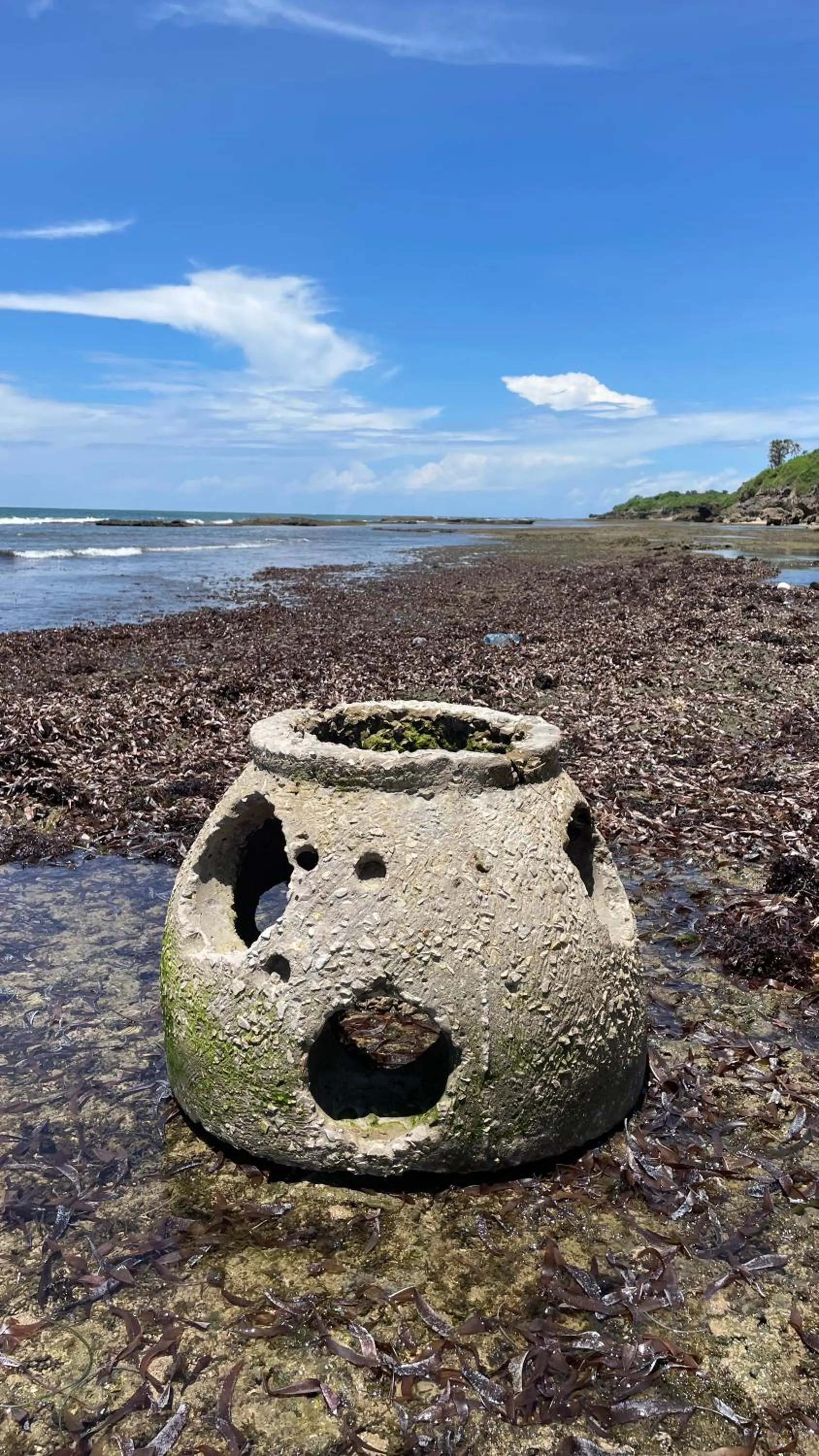 Beach in Pangani Cliffs Lodge