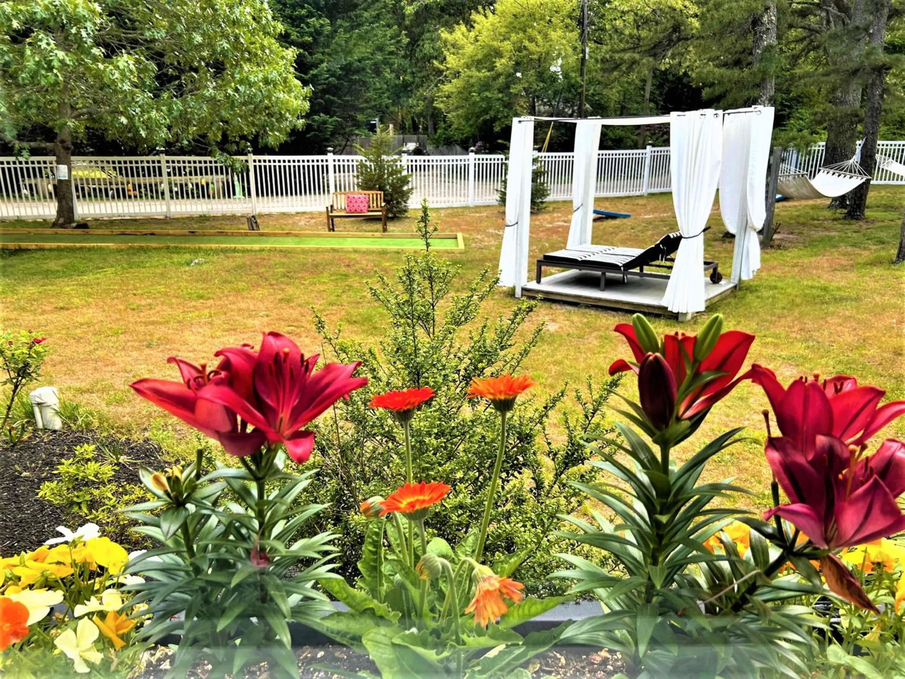 Garden view in The Seagrove Suites & Guest Rooms