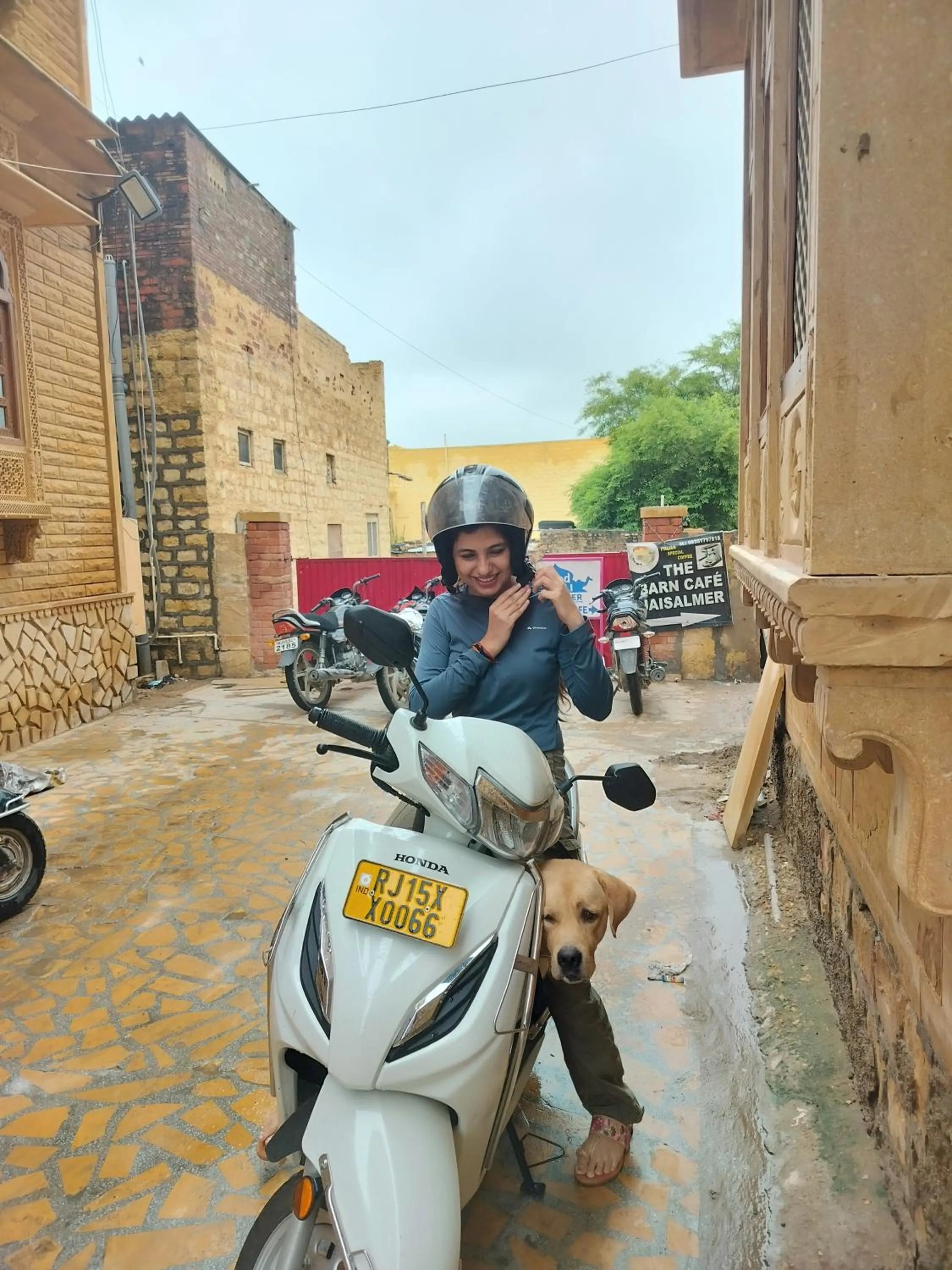 Property building in The Elite Castle