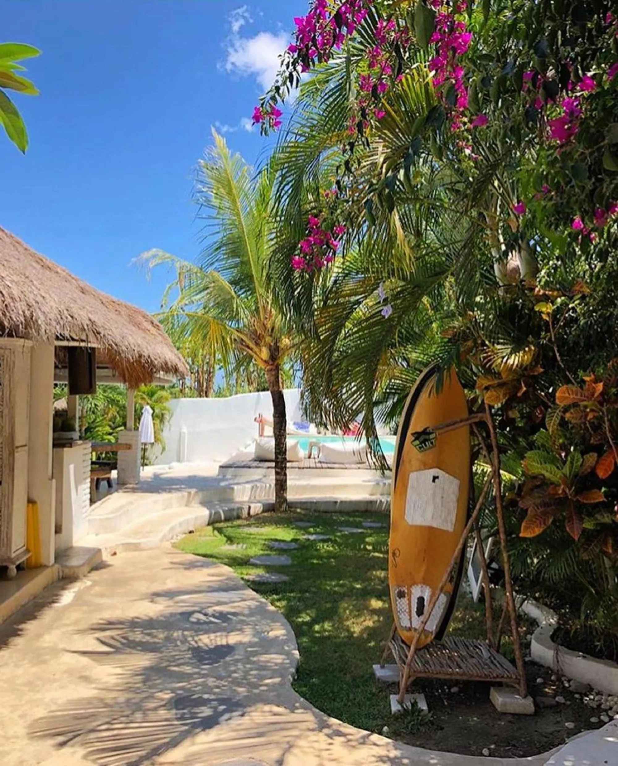 Garden in Sal Secret Spot