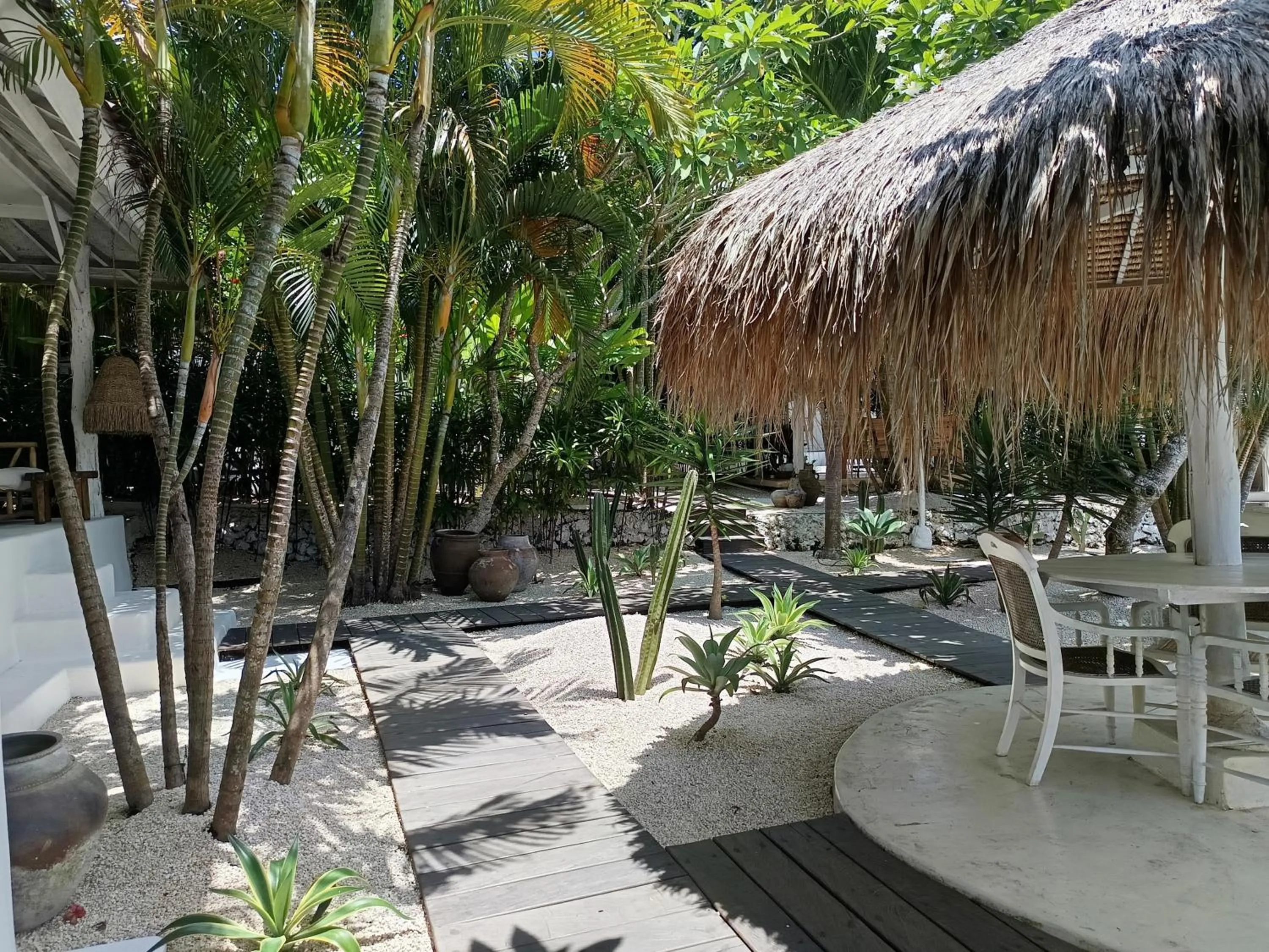 Garden in Sal Secret Spot