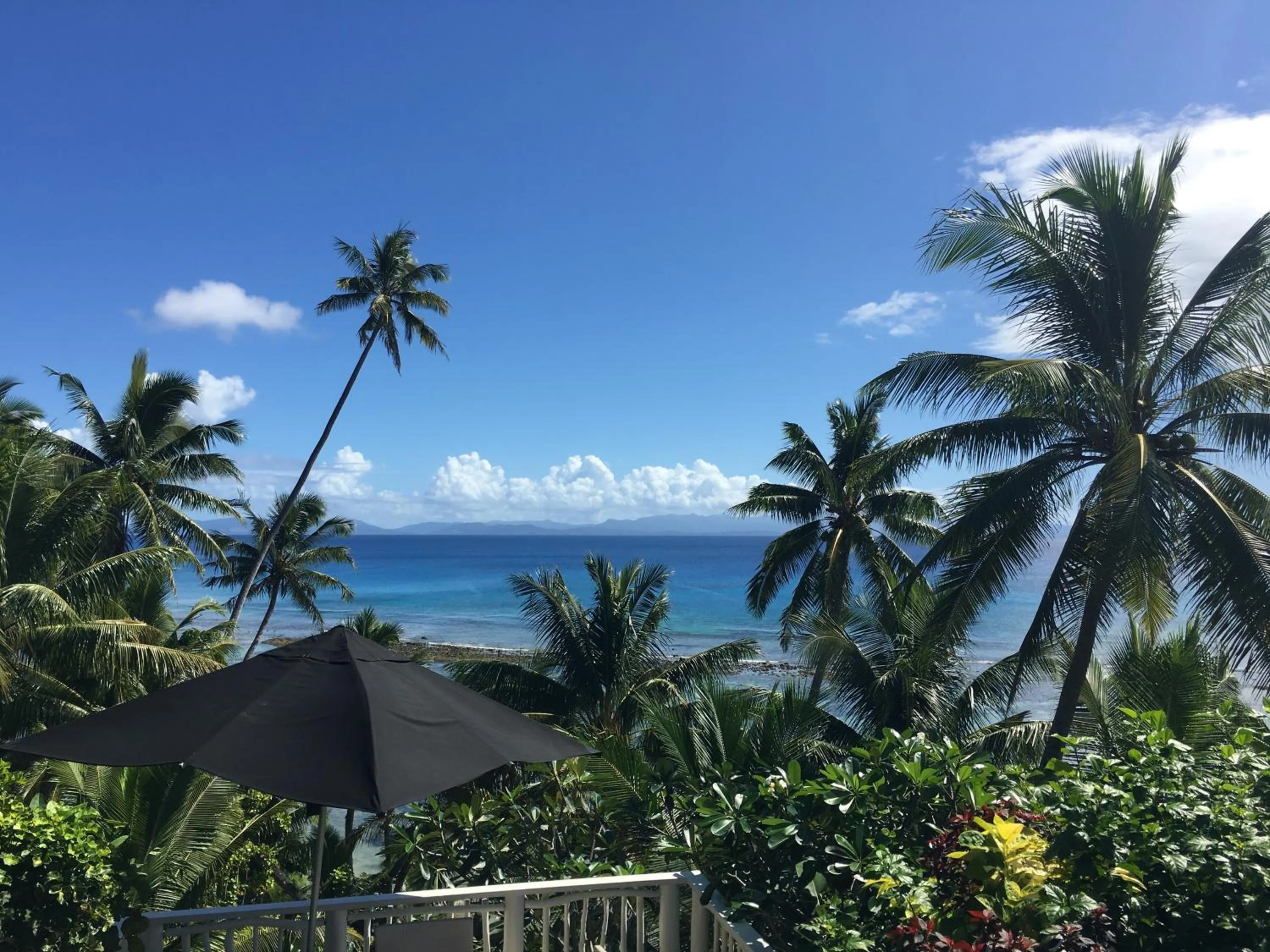 Garden in Taveuni Palms Resort