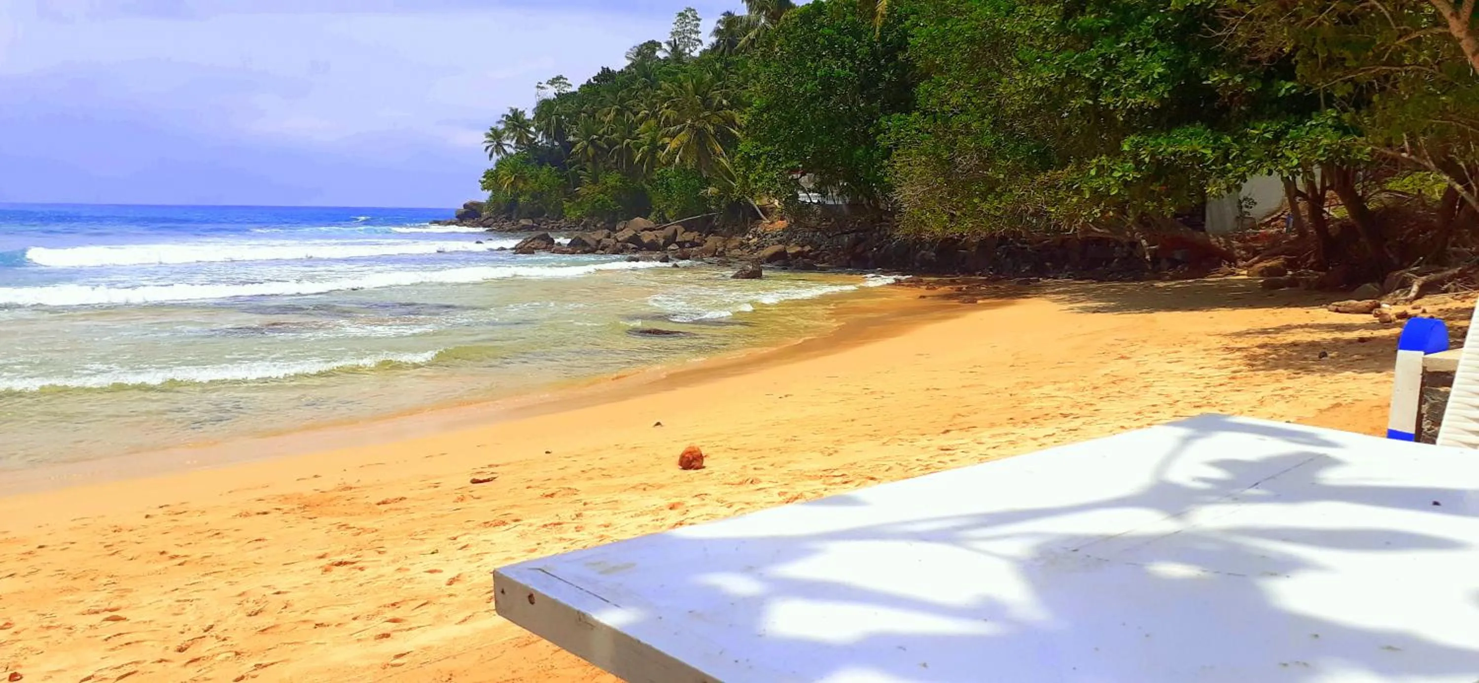 Beach in Coral Beach Hotel