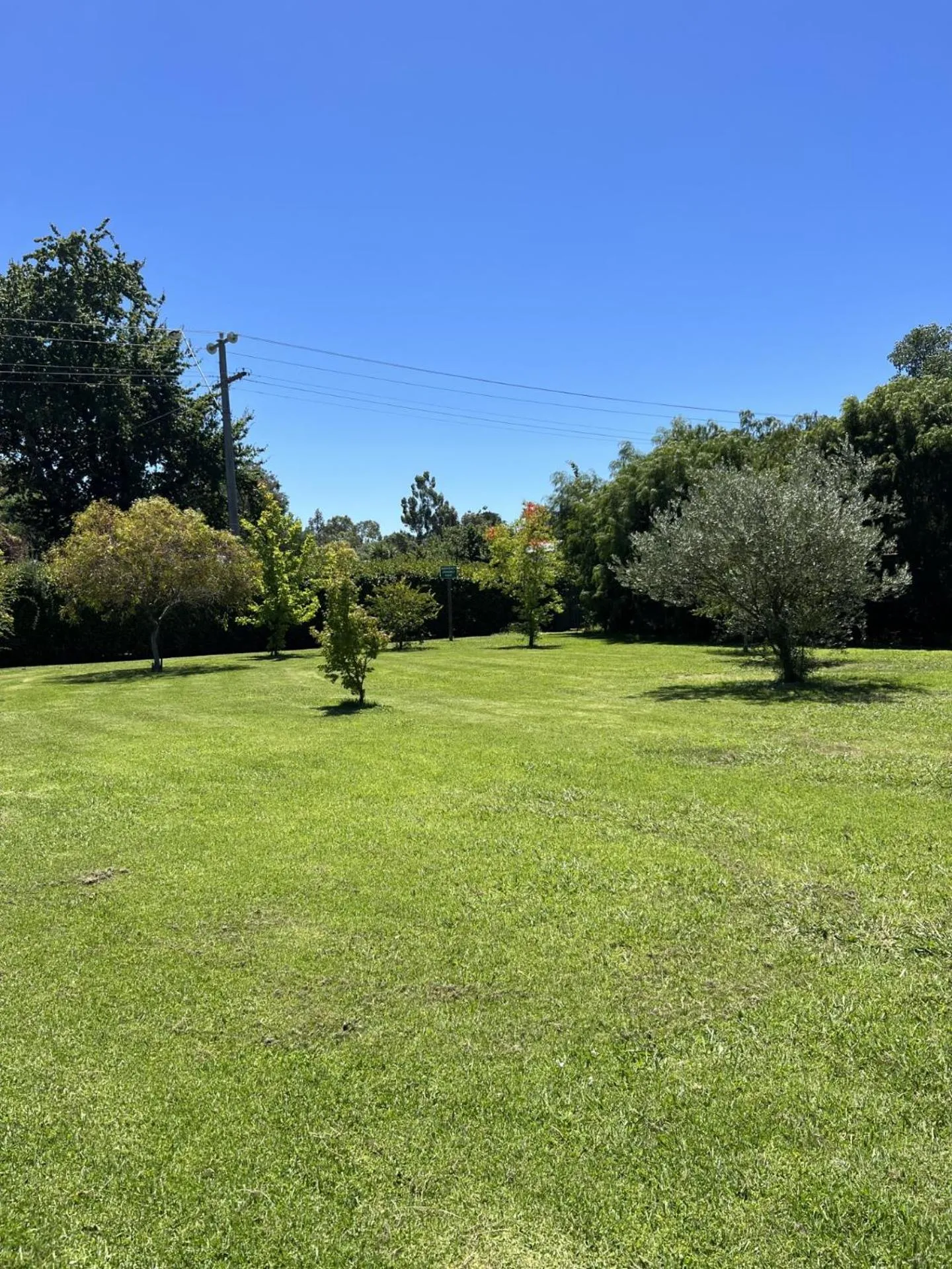 Natural landscape in Alexandra Motor Inn
