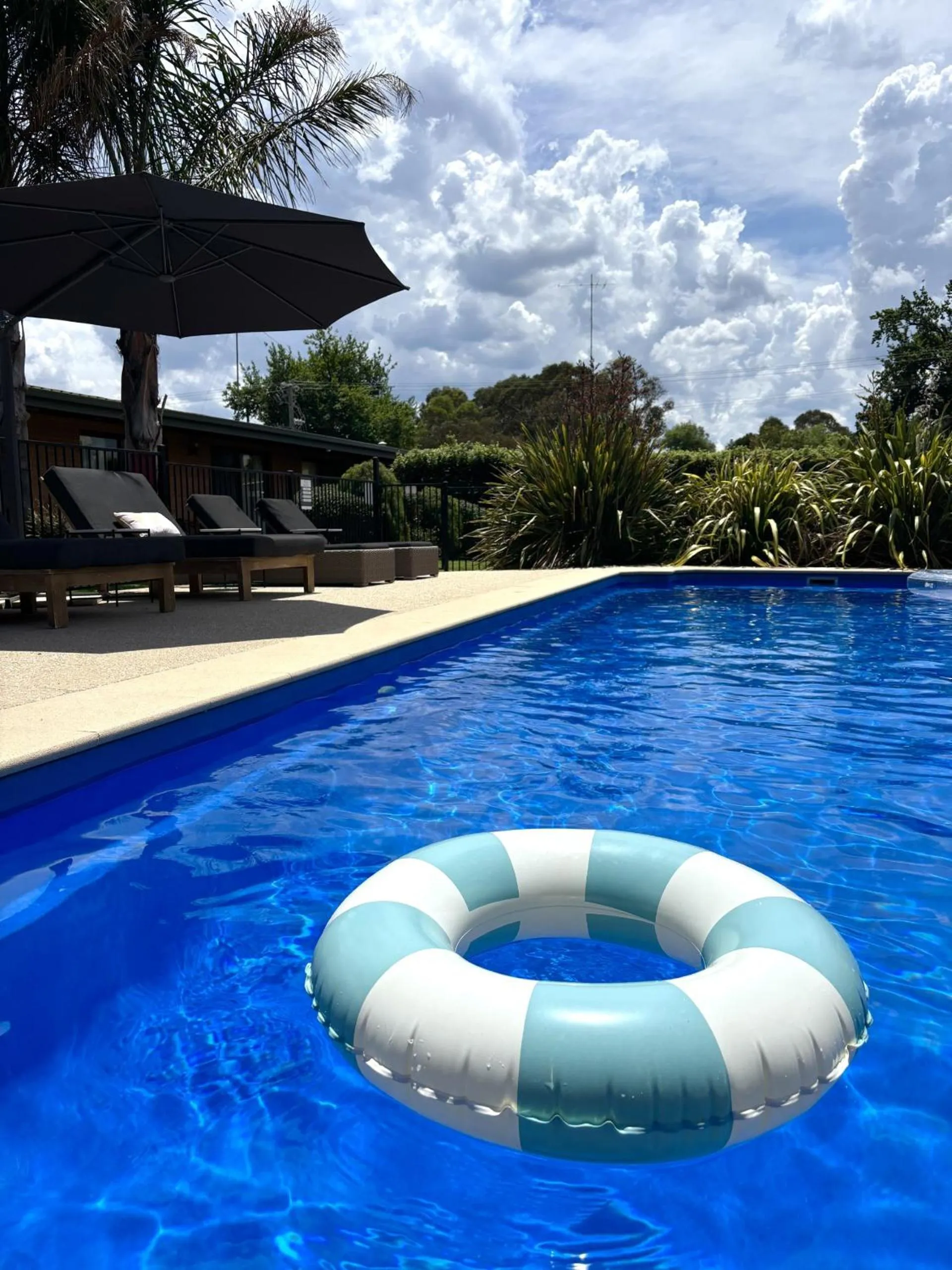 Swimming pool in Alexandra Motor Inn