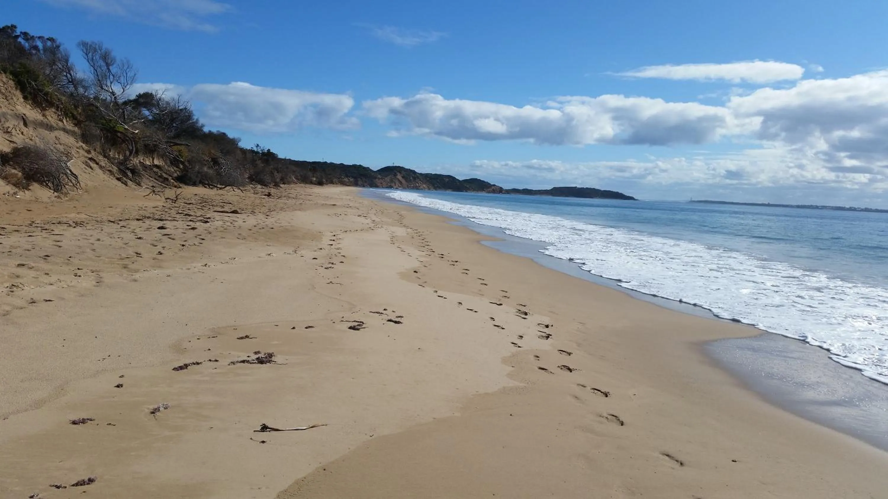 Beach in Portsea Village Resort