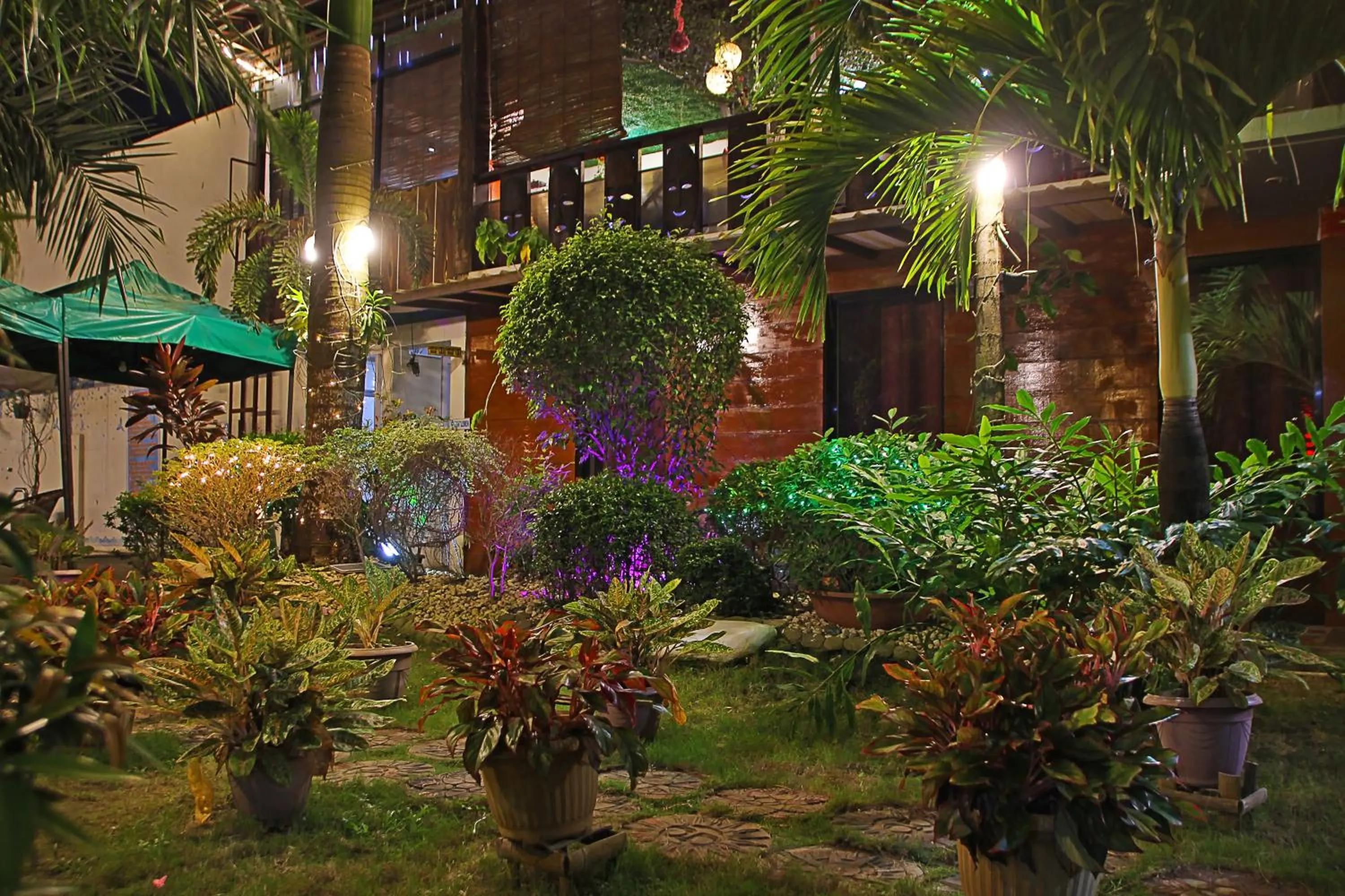 Garden in Palawan Uno Hotel