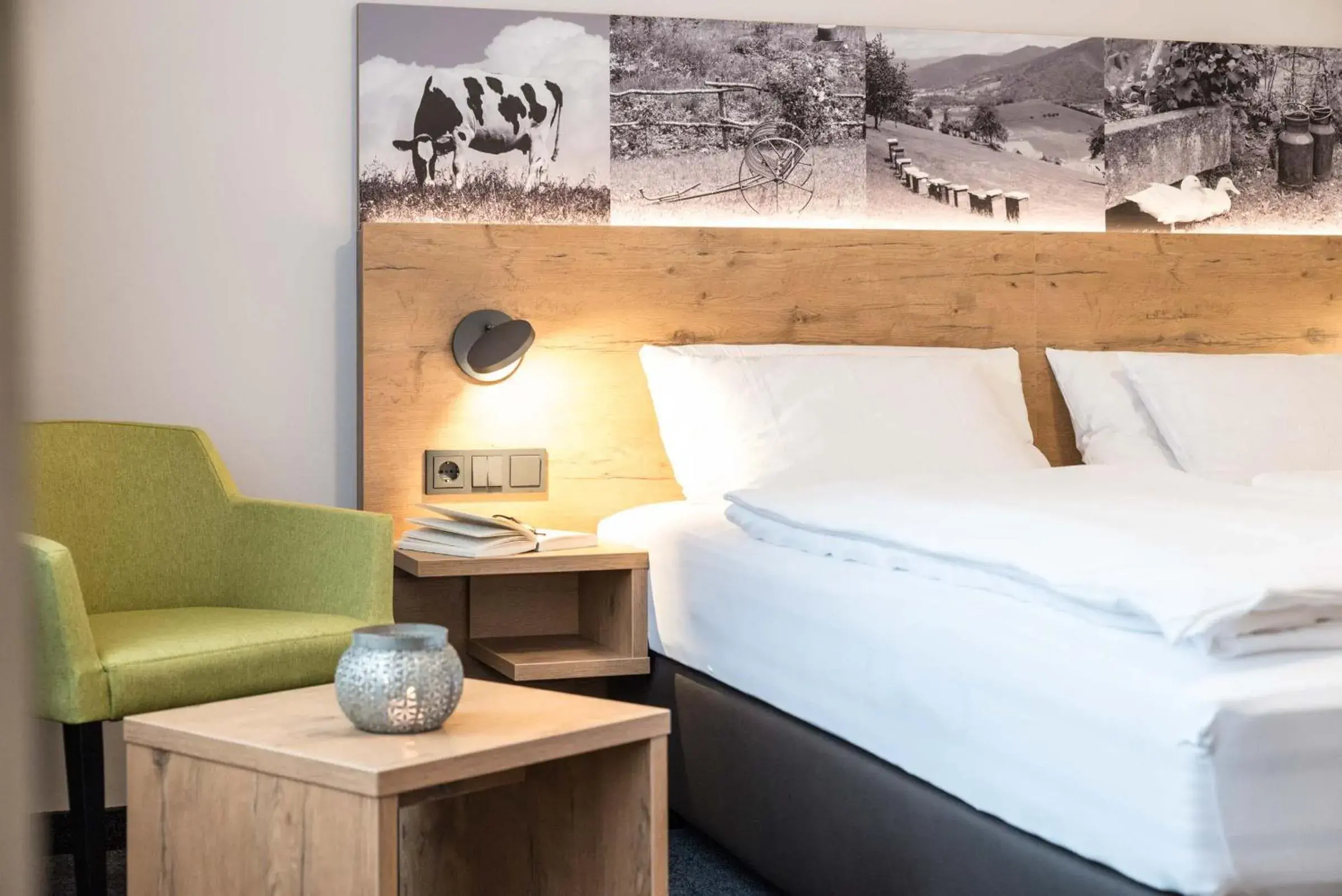 Classic Double Room - single occupancy in Hotel Restaurant Sonne Classic Double Room - single occupancy in Hotel Restaurant Sonne