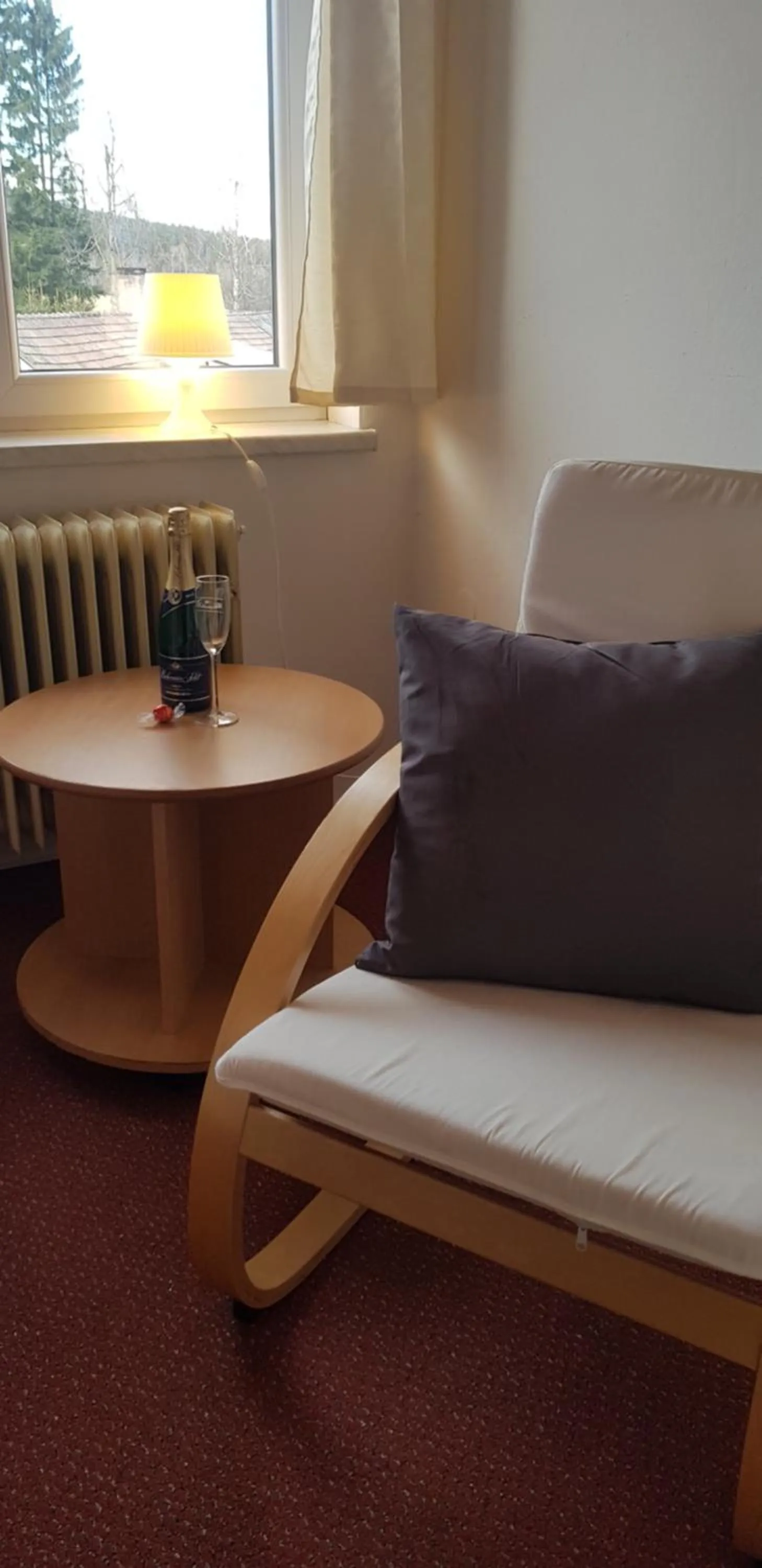 Seating area in Hotel Rohanov