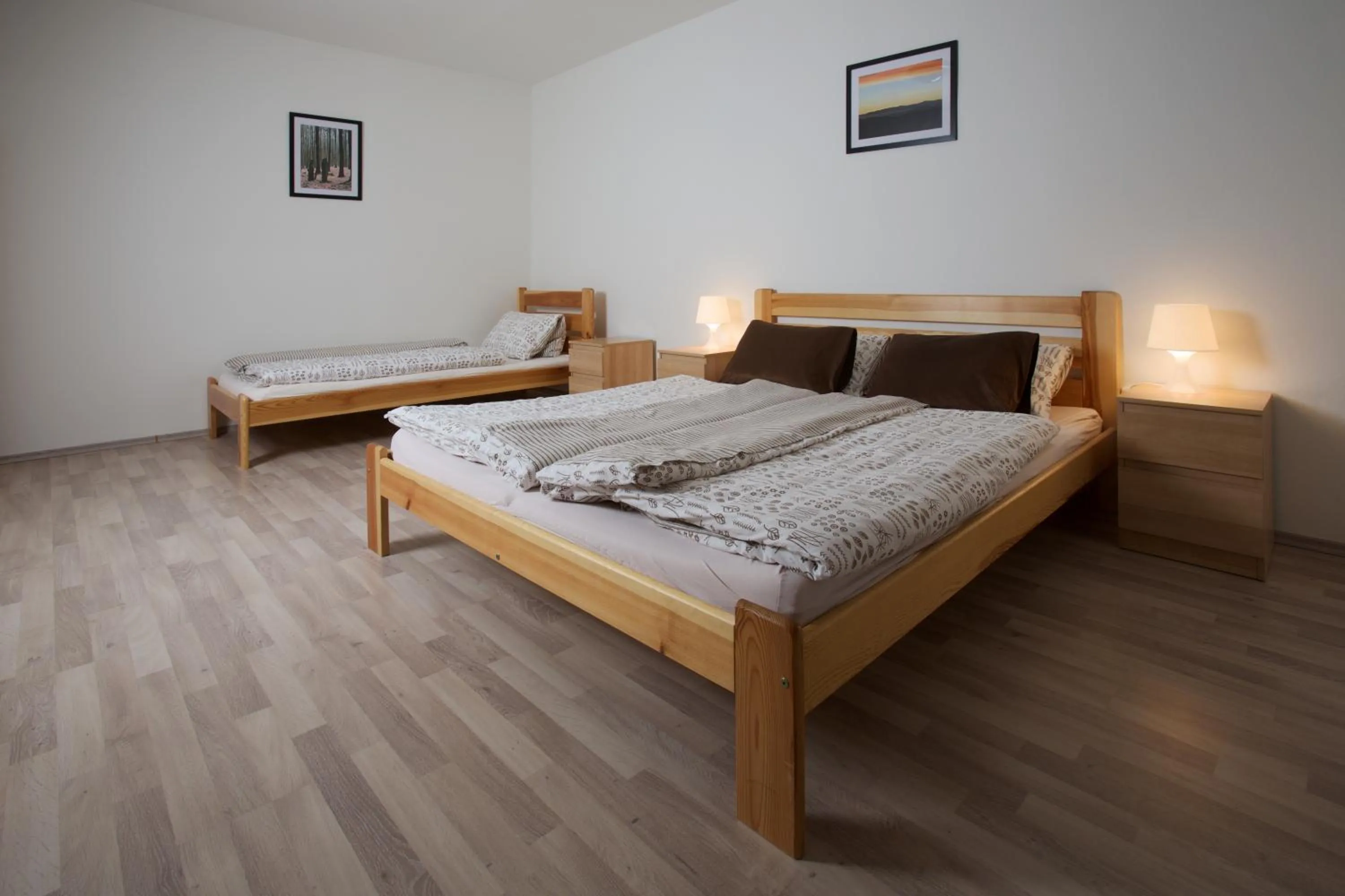 Photo of the whole room, Bed in Hotel Rohanov