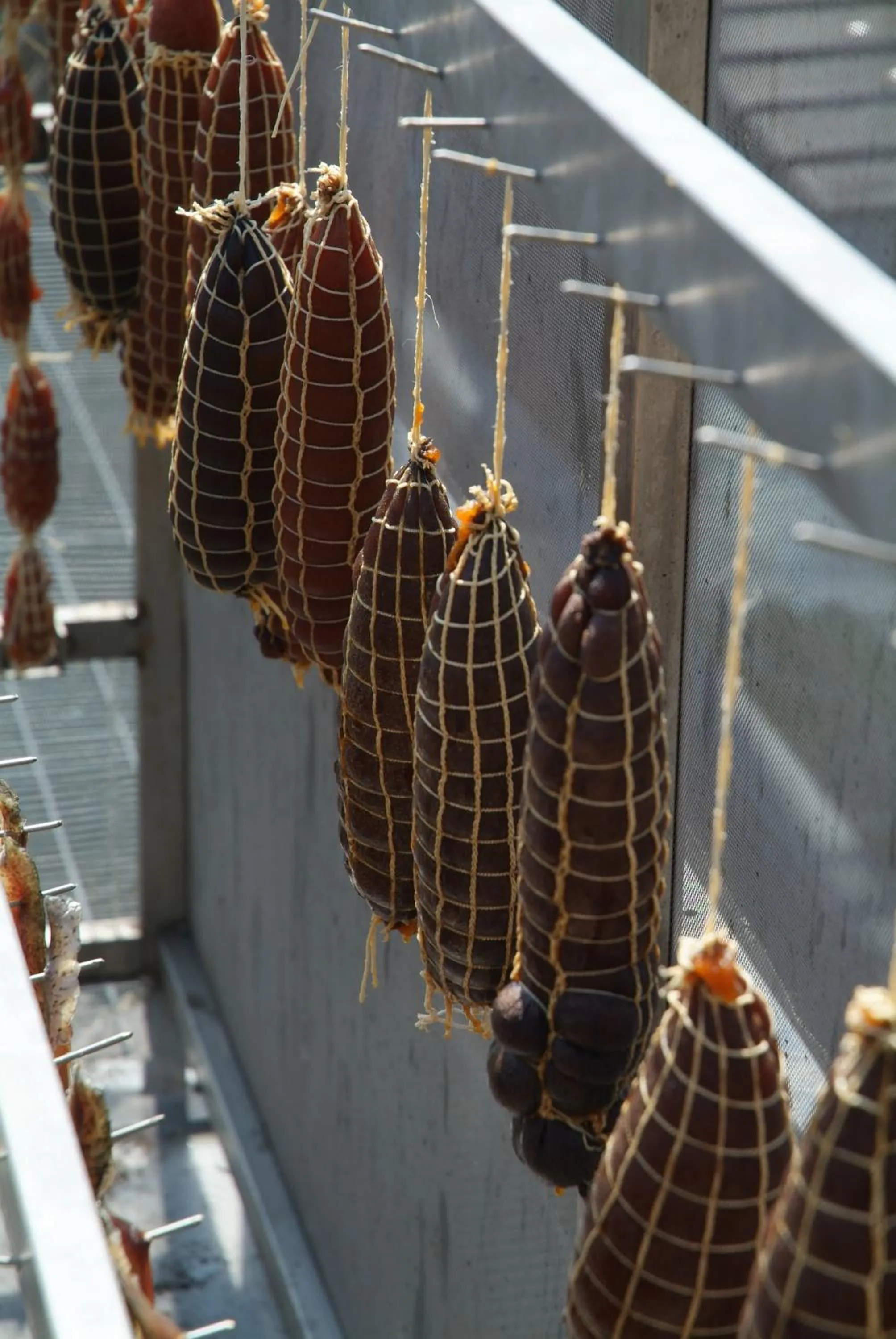 Day in La Foresta Monteisola