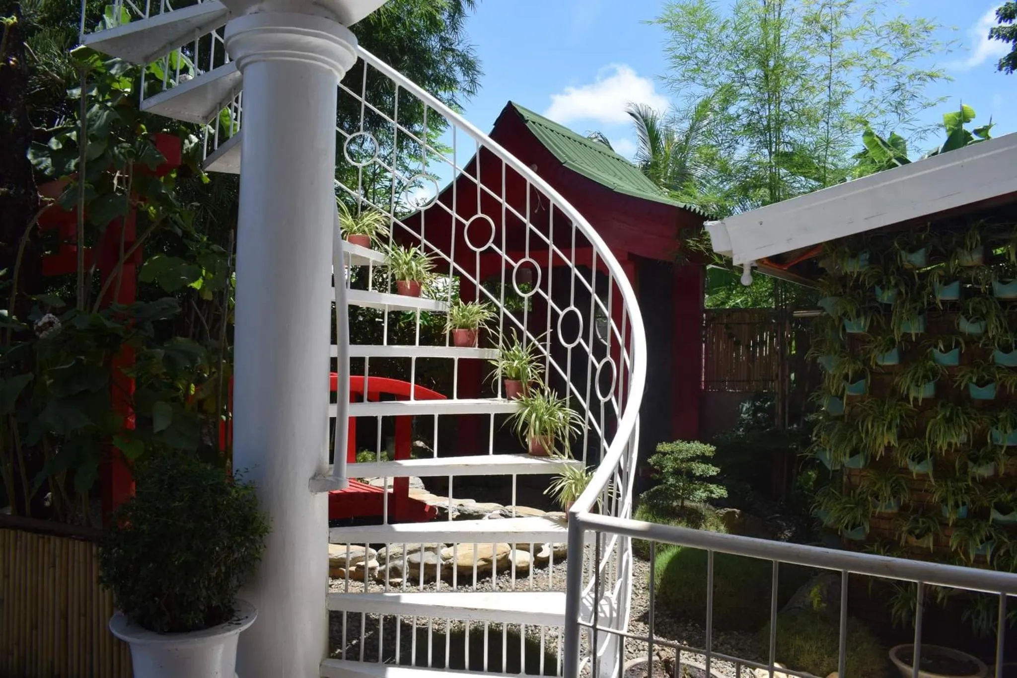 Garden in Orokasa Guesthouse