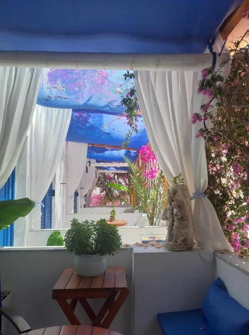 Balcony/Terrace in Doron Hotel Delfini