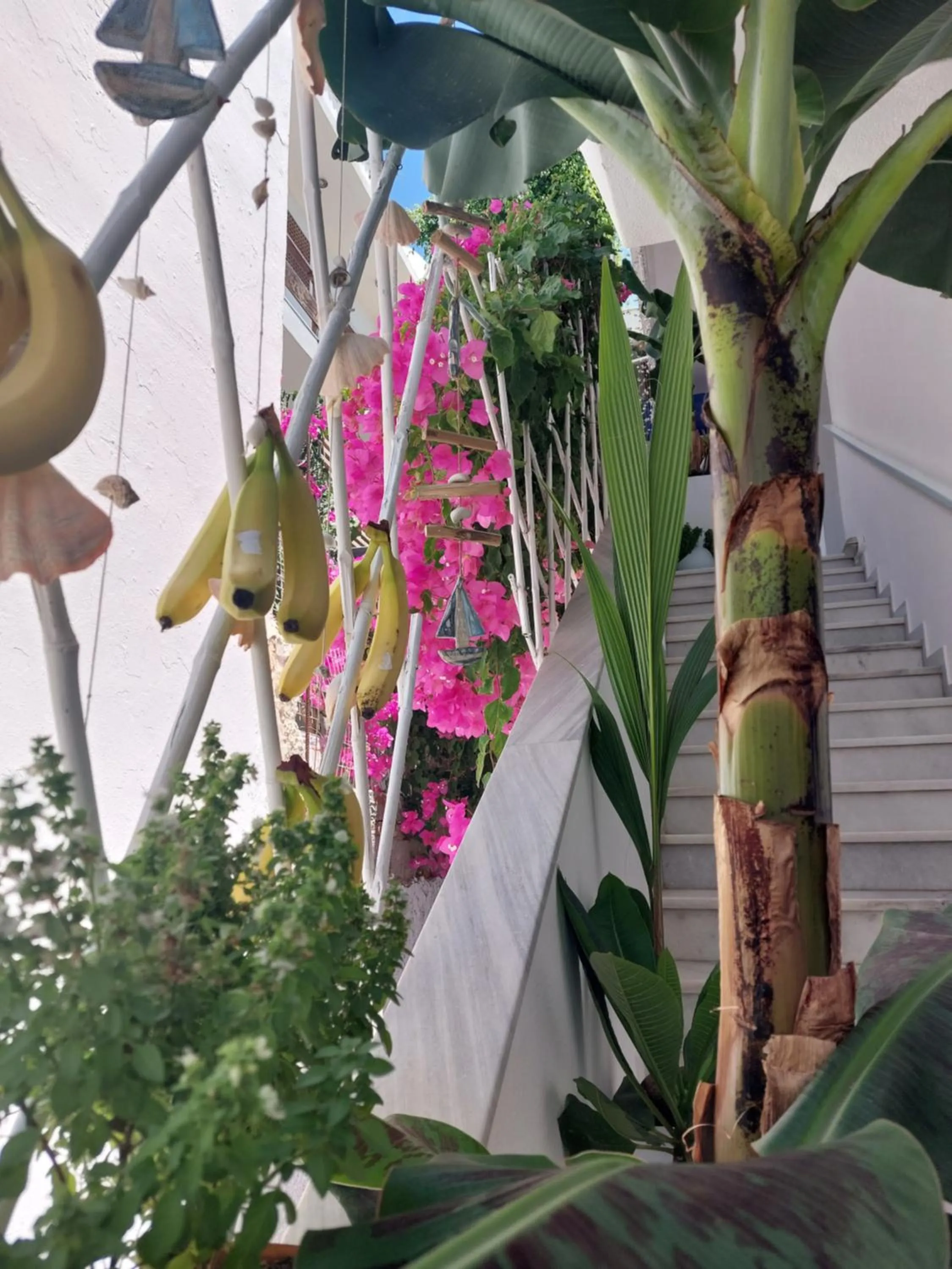 Garden view in Doron Hotel Delfini