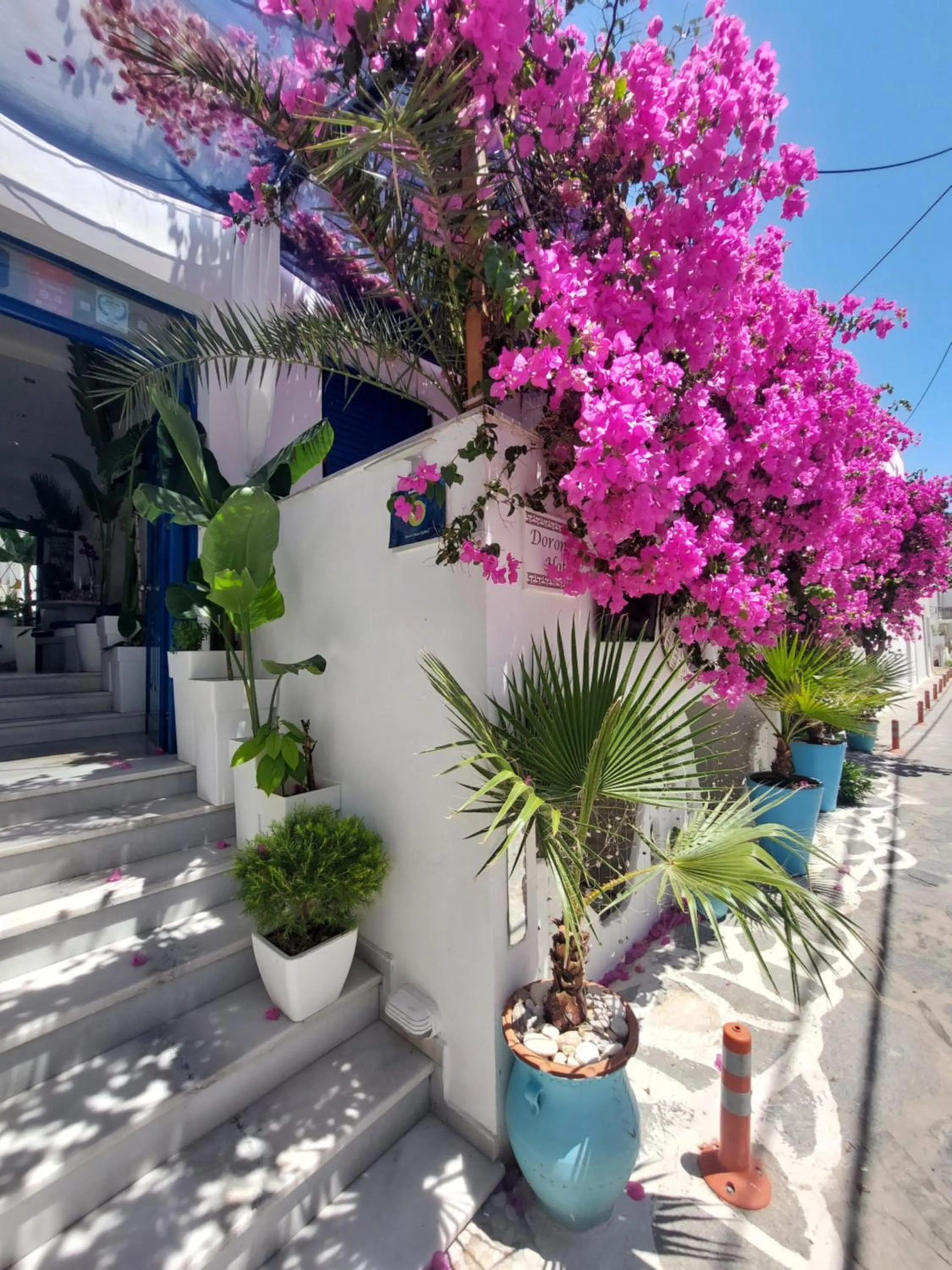 Garden view in Doron Hotel Delfini